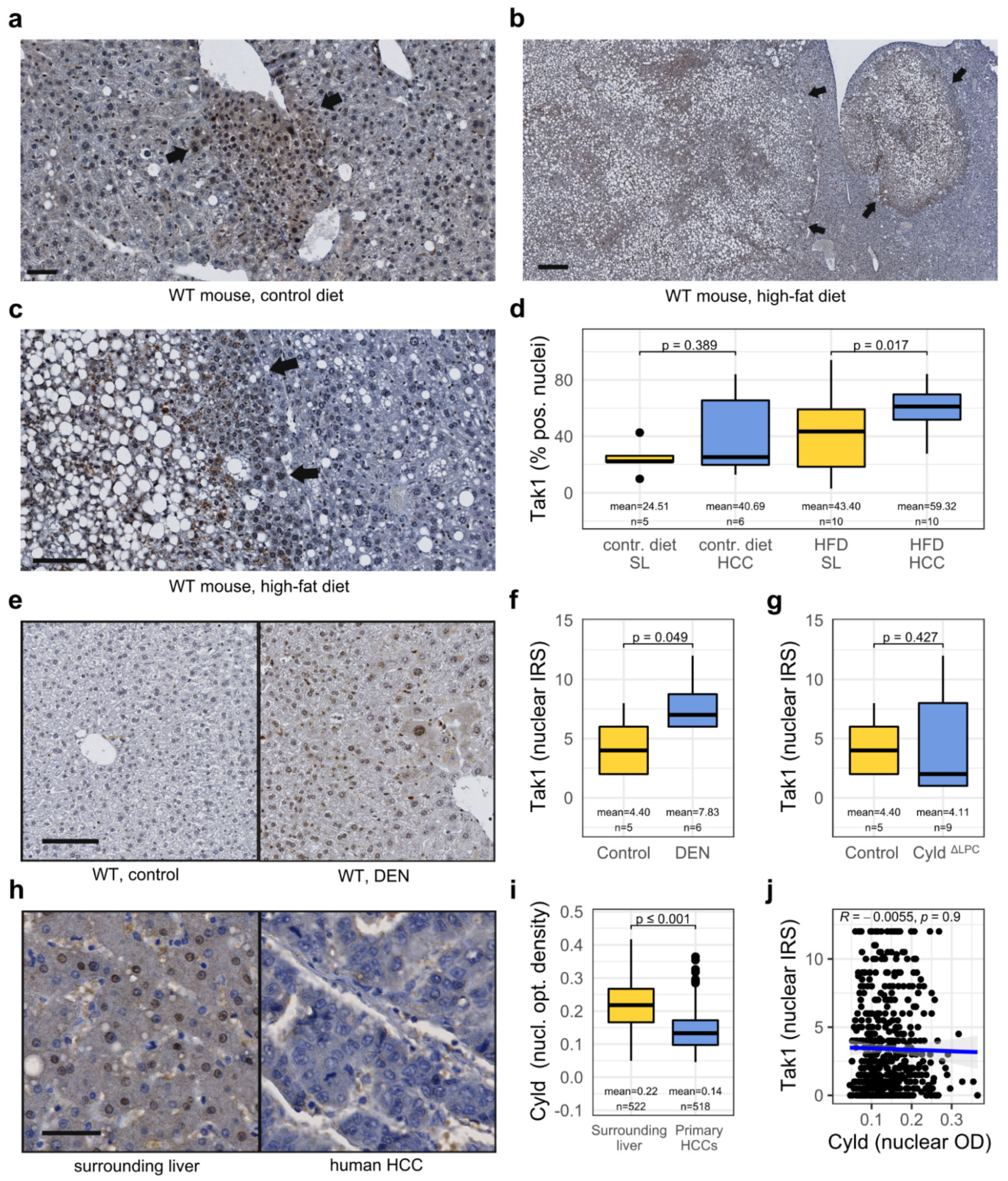 Cancers 14 00430 g002
