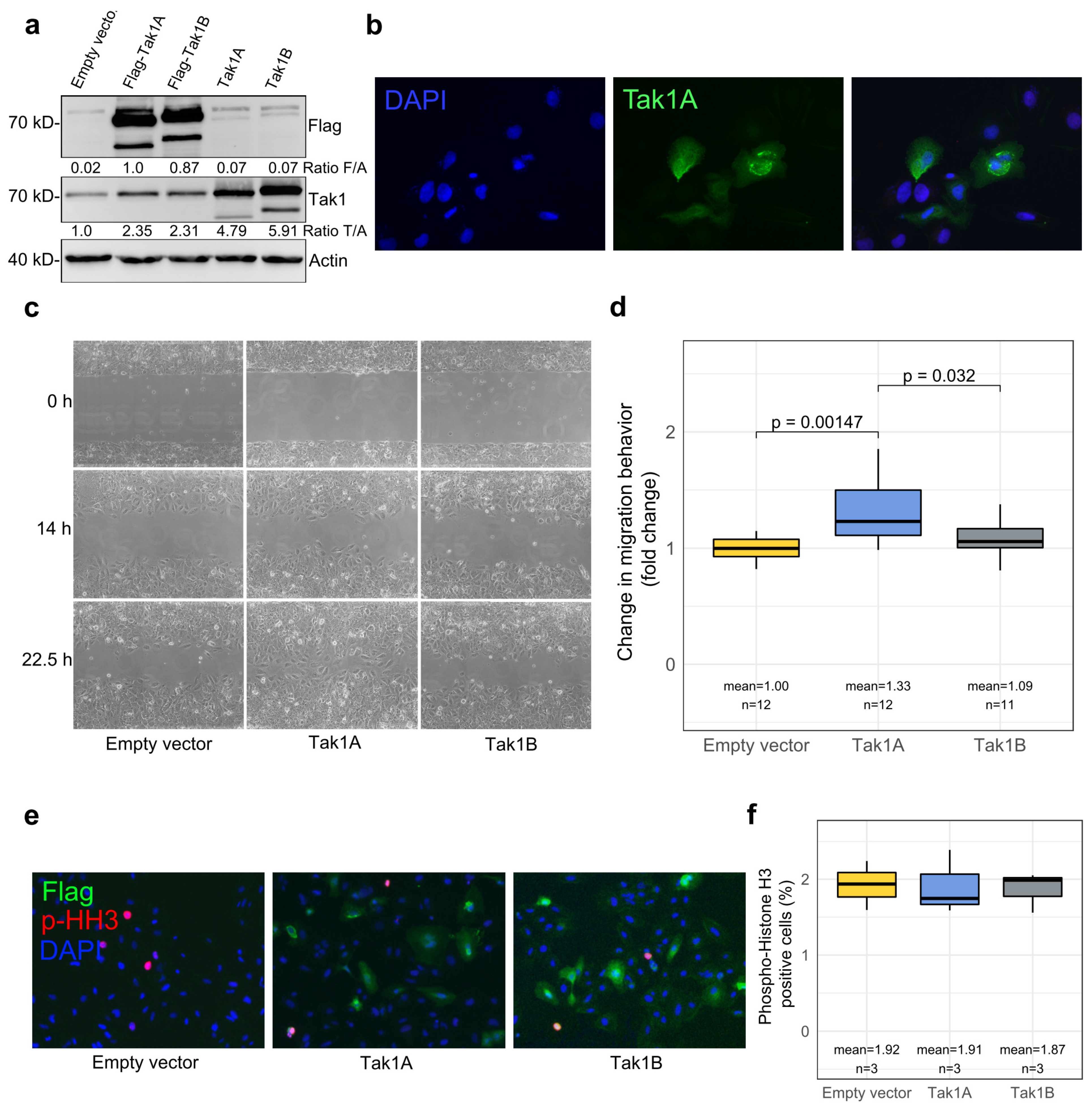 Cancers 14 00430 g003