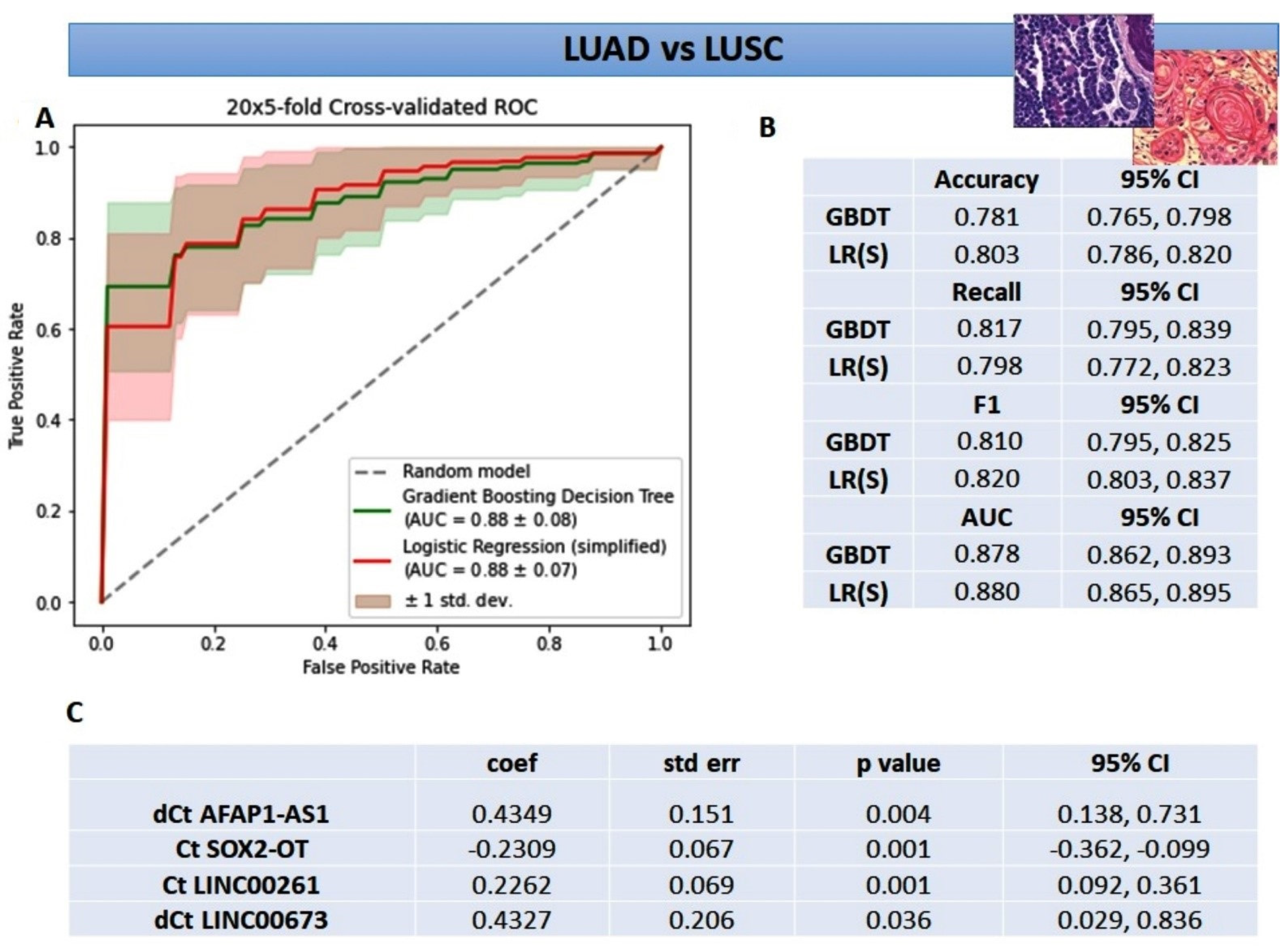 Cancers 14 00439 g003
