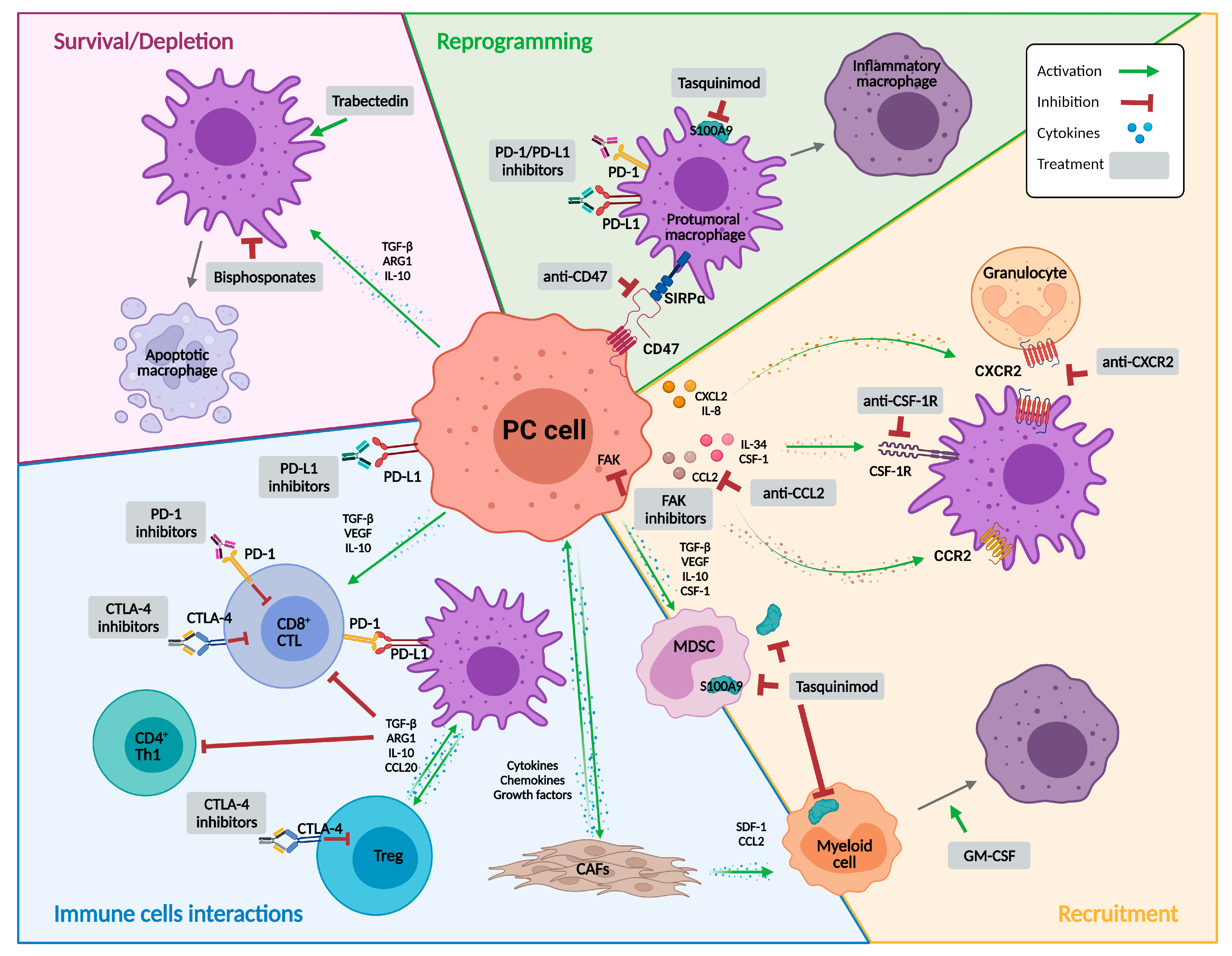 Cancers 14 00440 g001 Cancers 14 00440 g001
