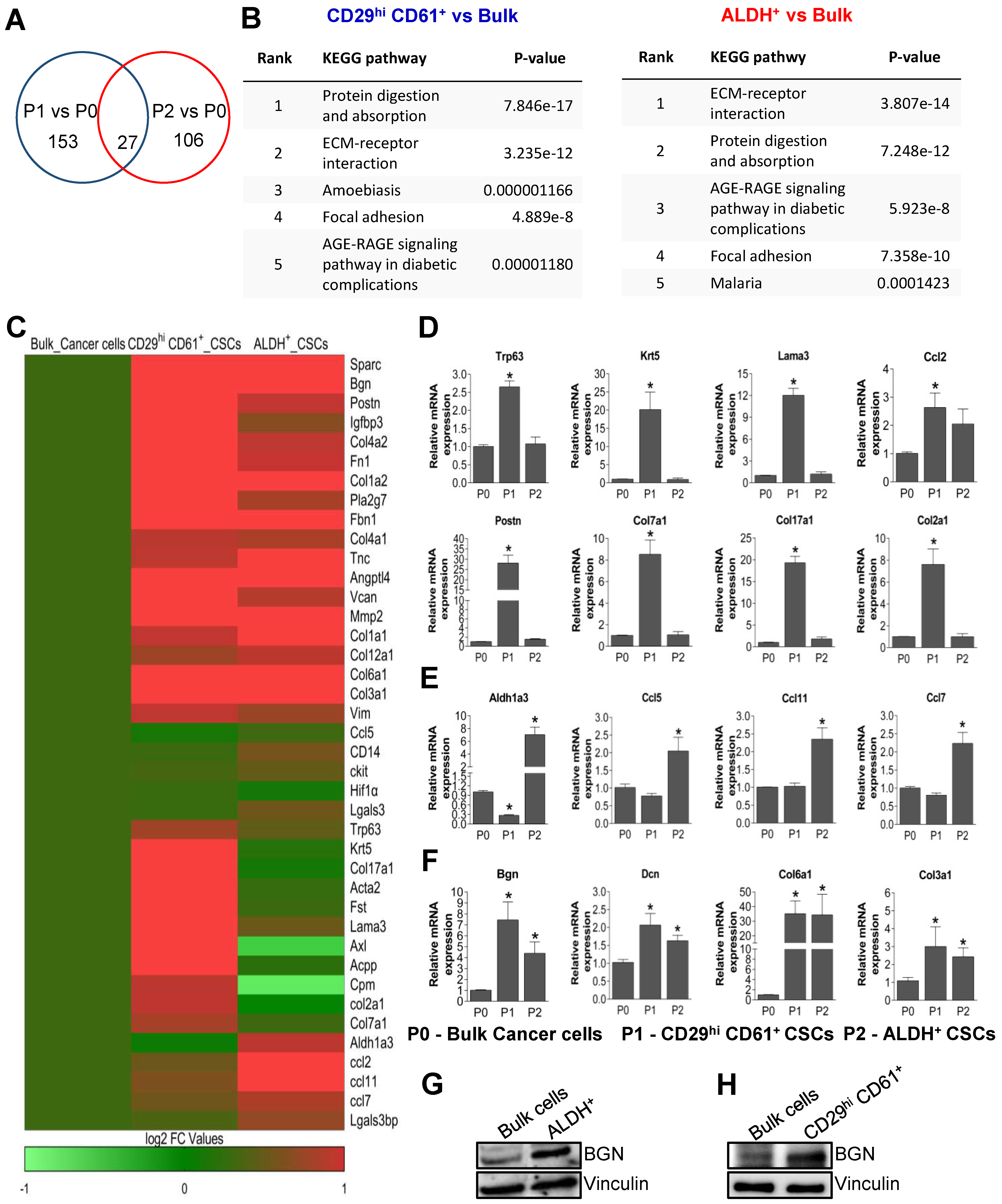 Cancers 14 00455 g001