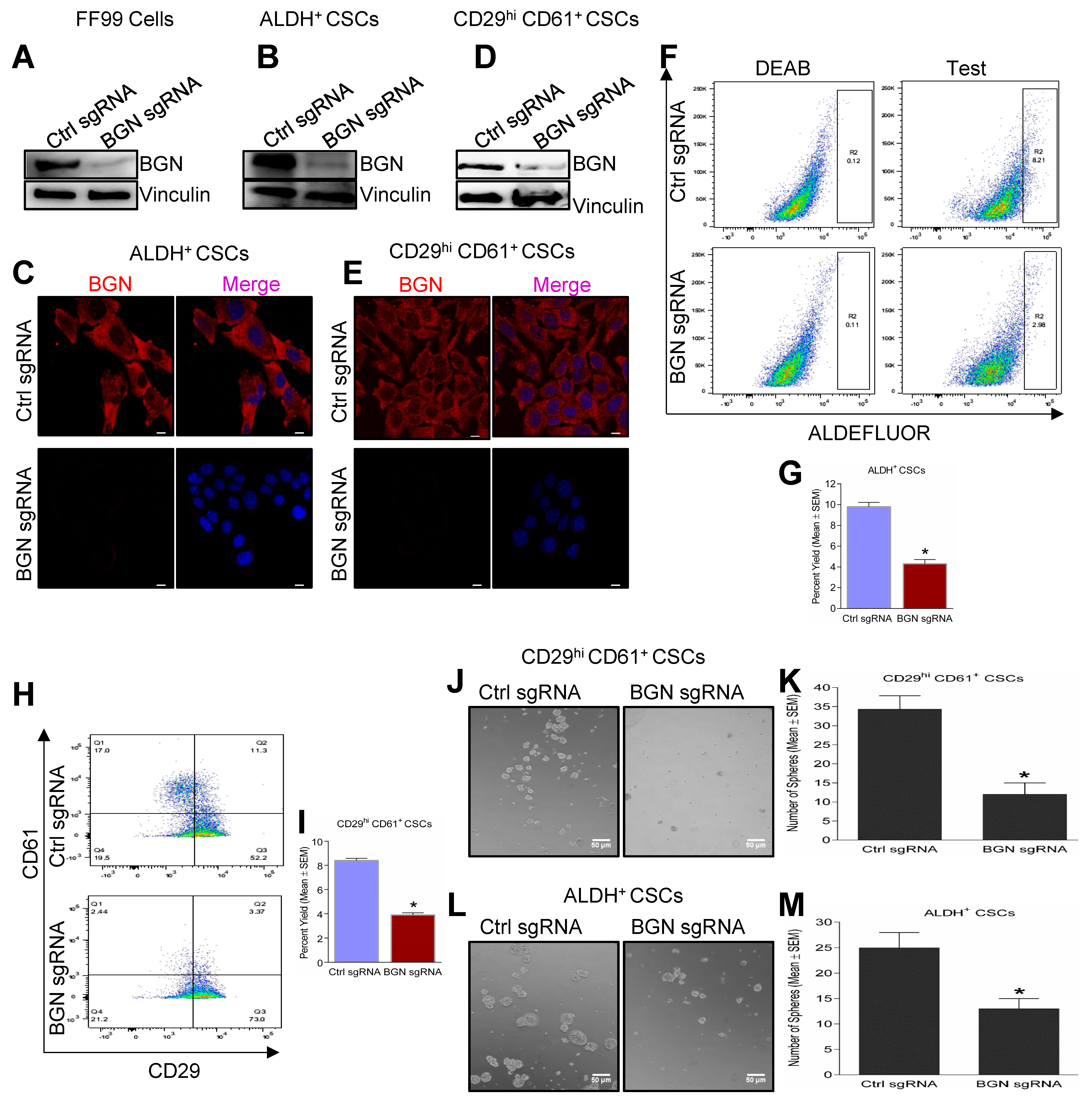 Cancers 14 00455 g002