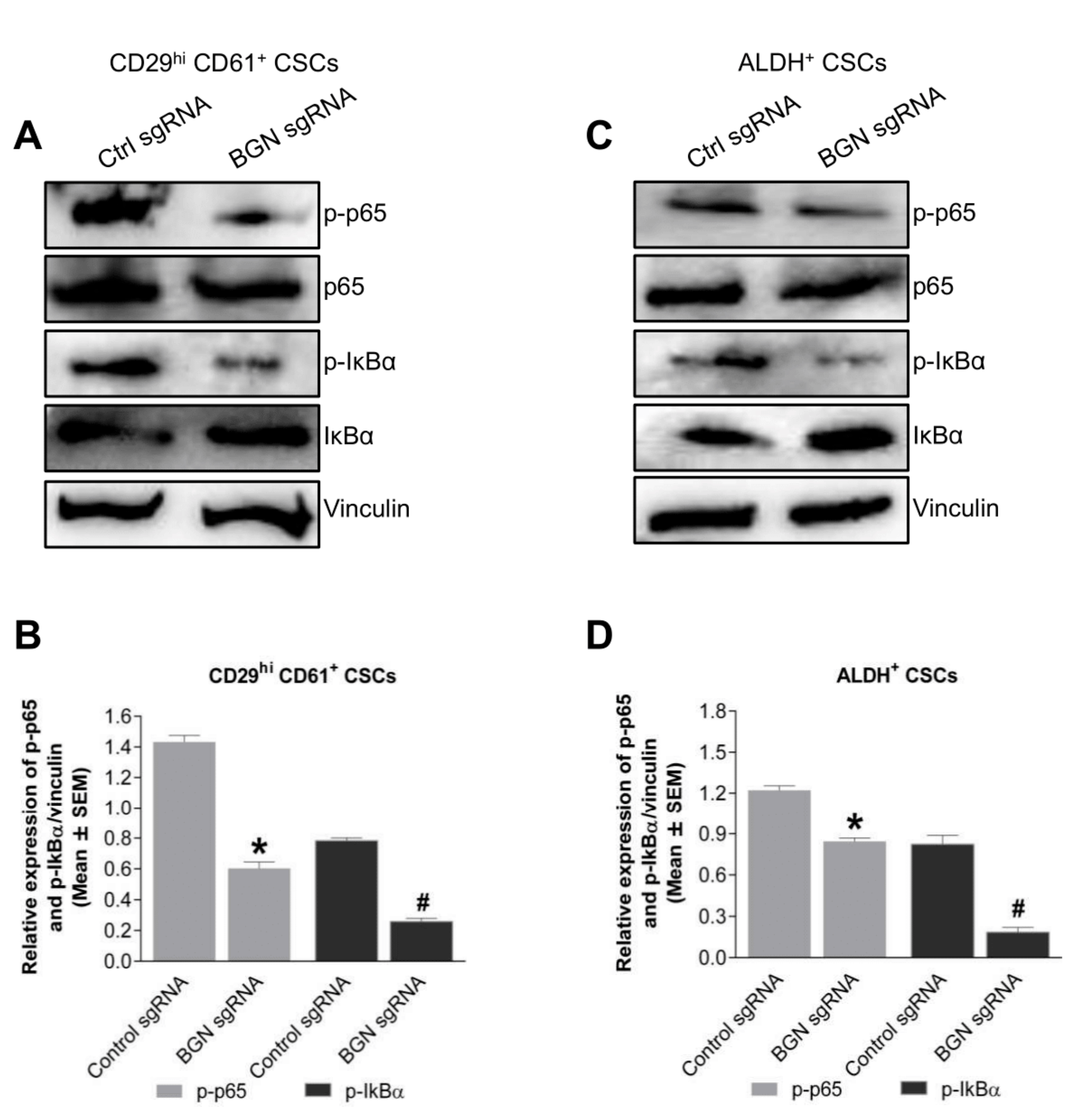 Cancers 14 00455 g005