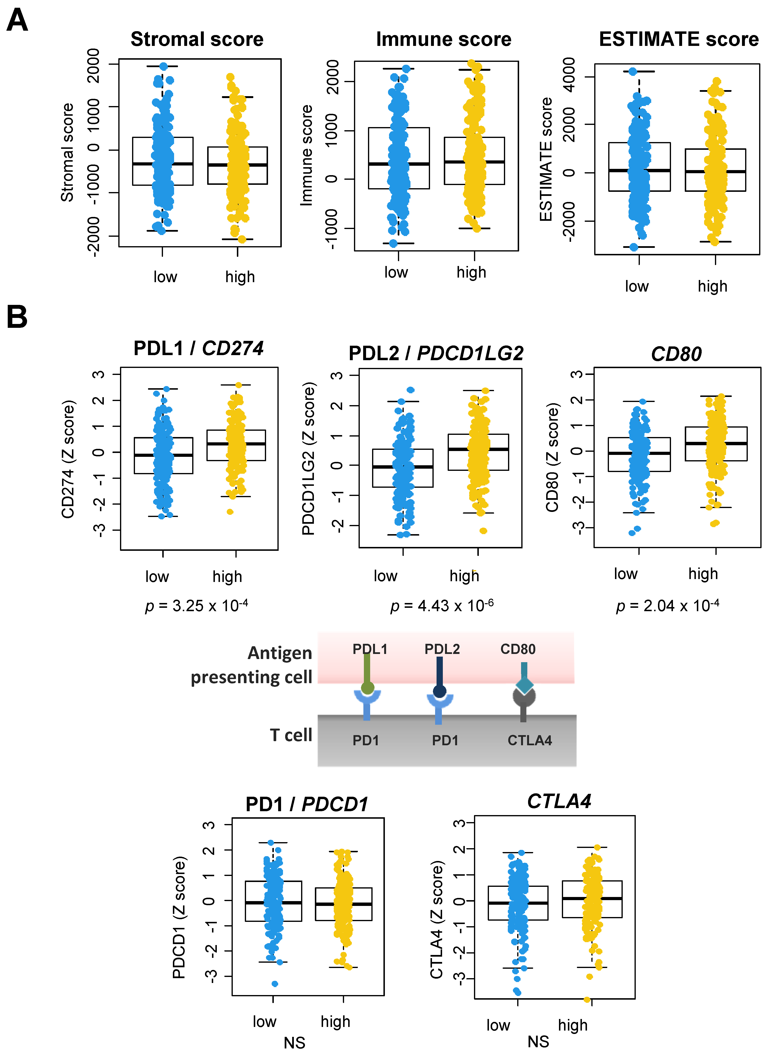 Cancers 14 00460 g008