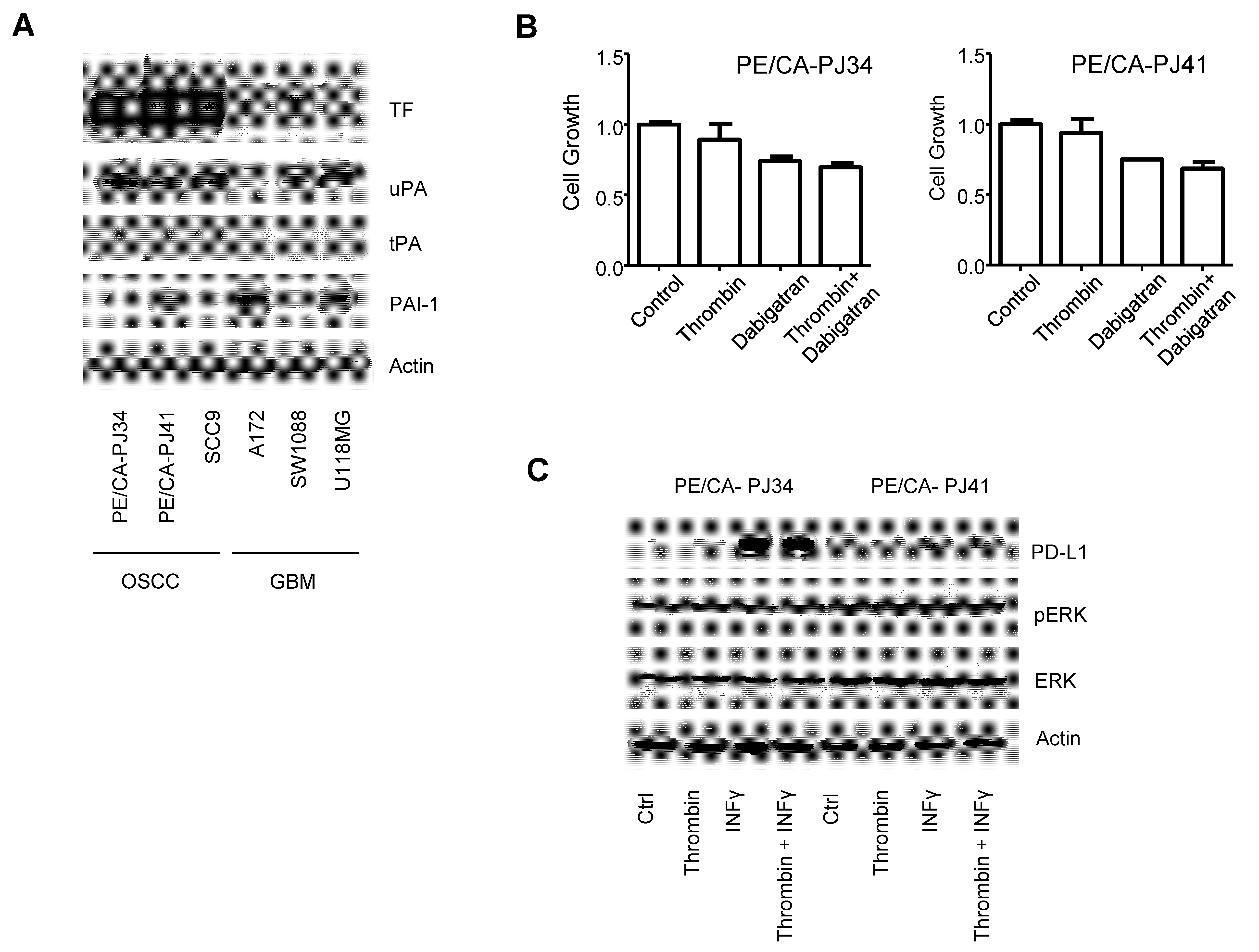 Cancers 14 00460 g010