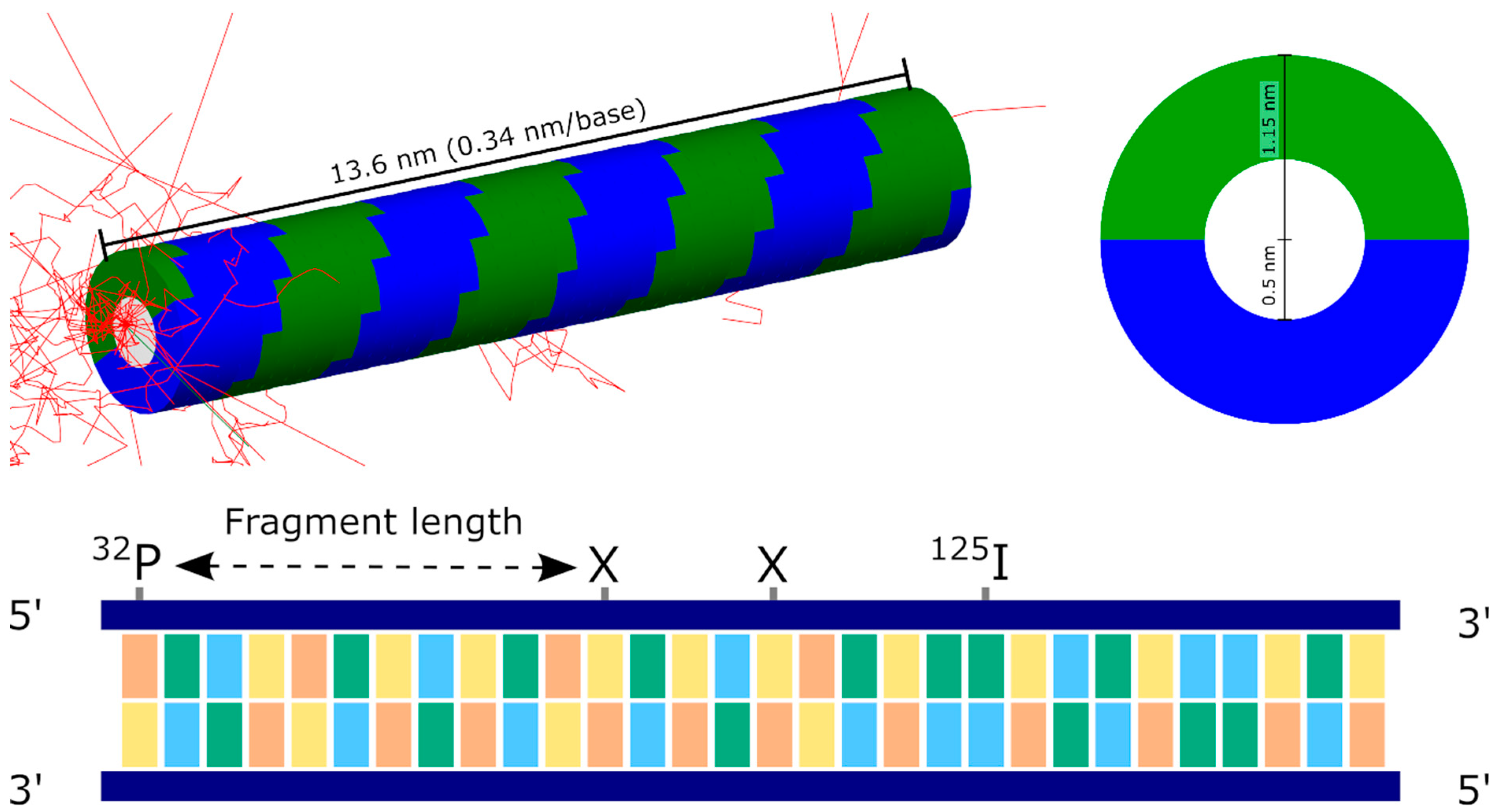 Cancers 14 00463 g001