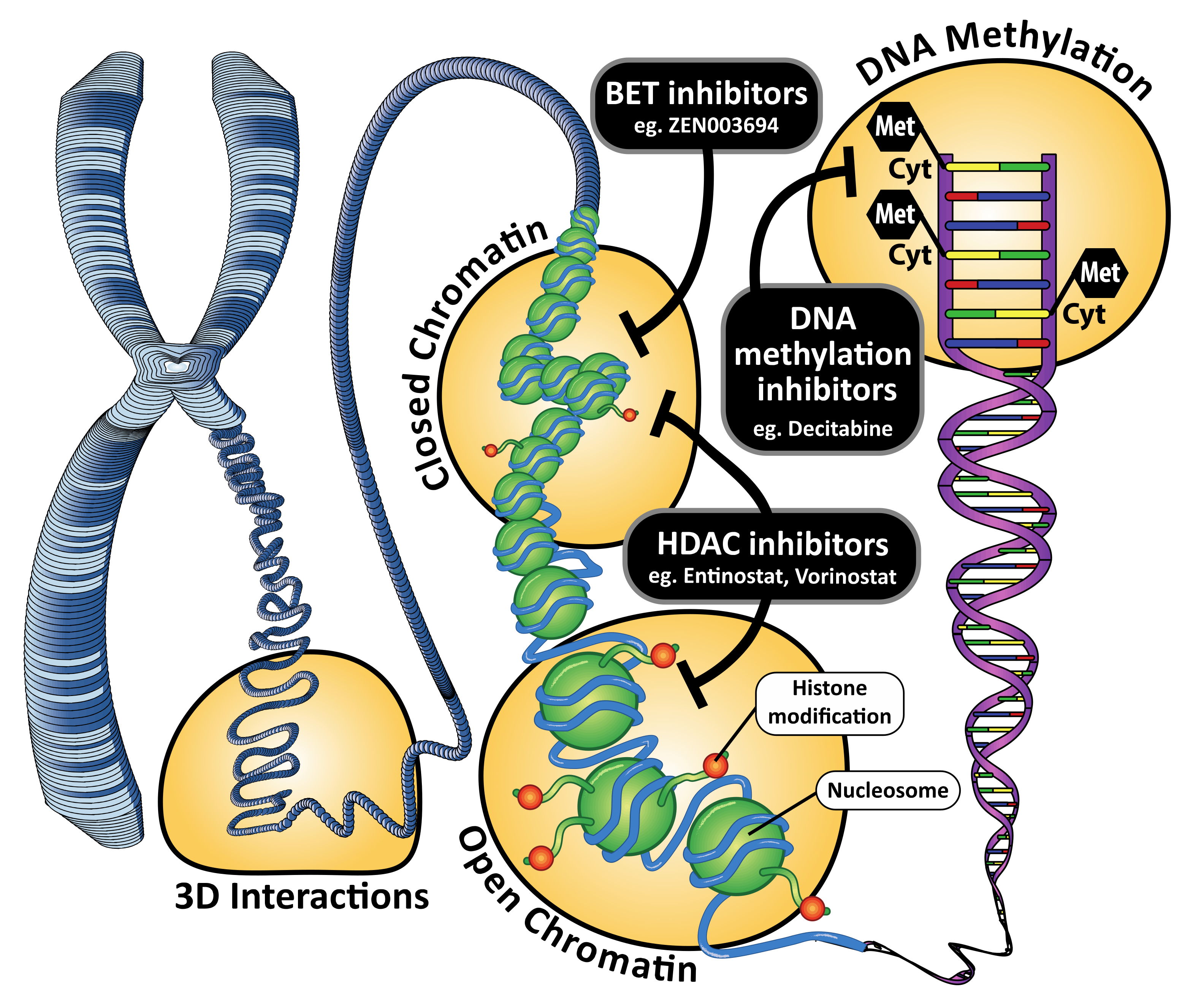 Cancers 14 00474 g001