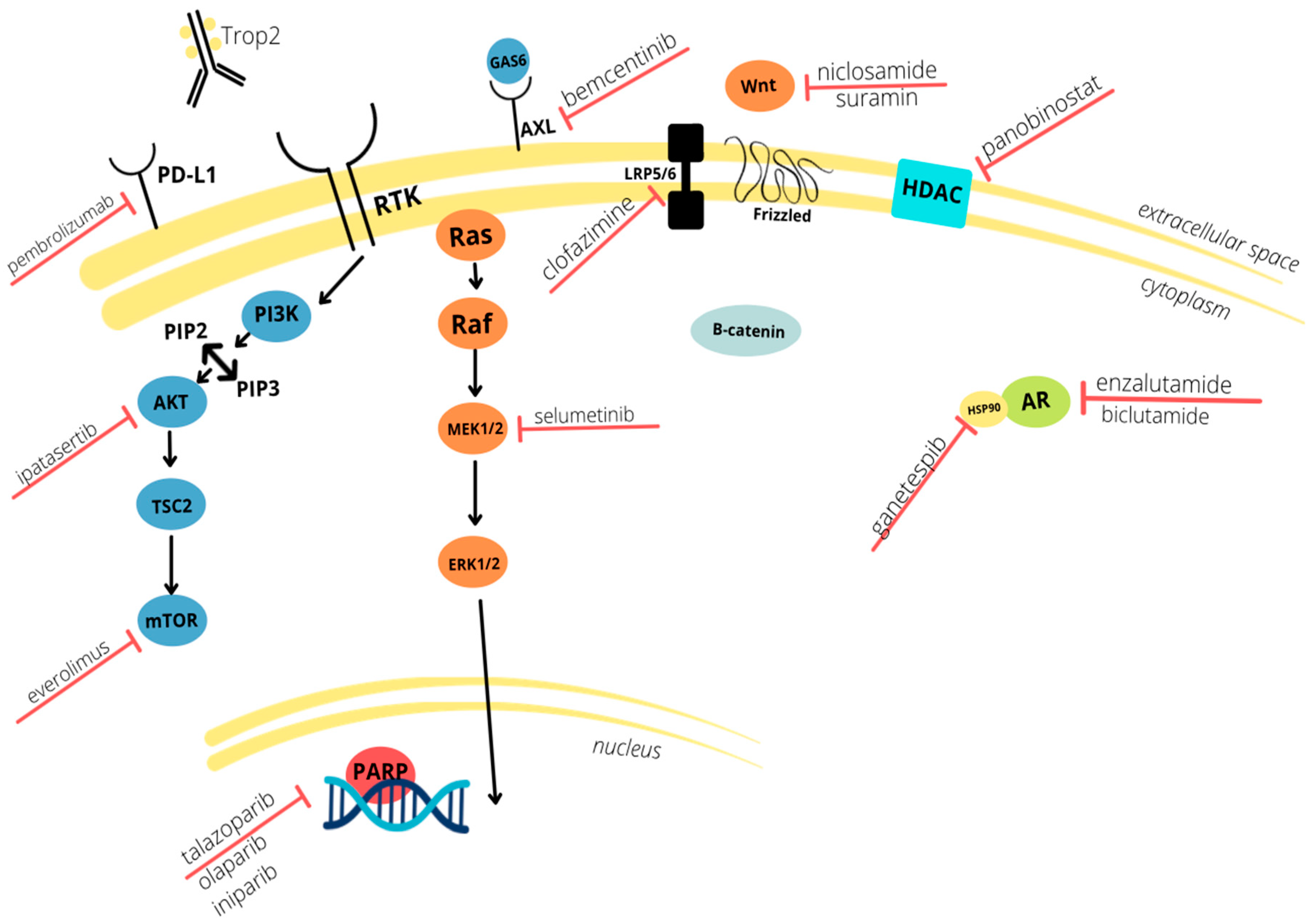 Cancers 14 00482 g001