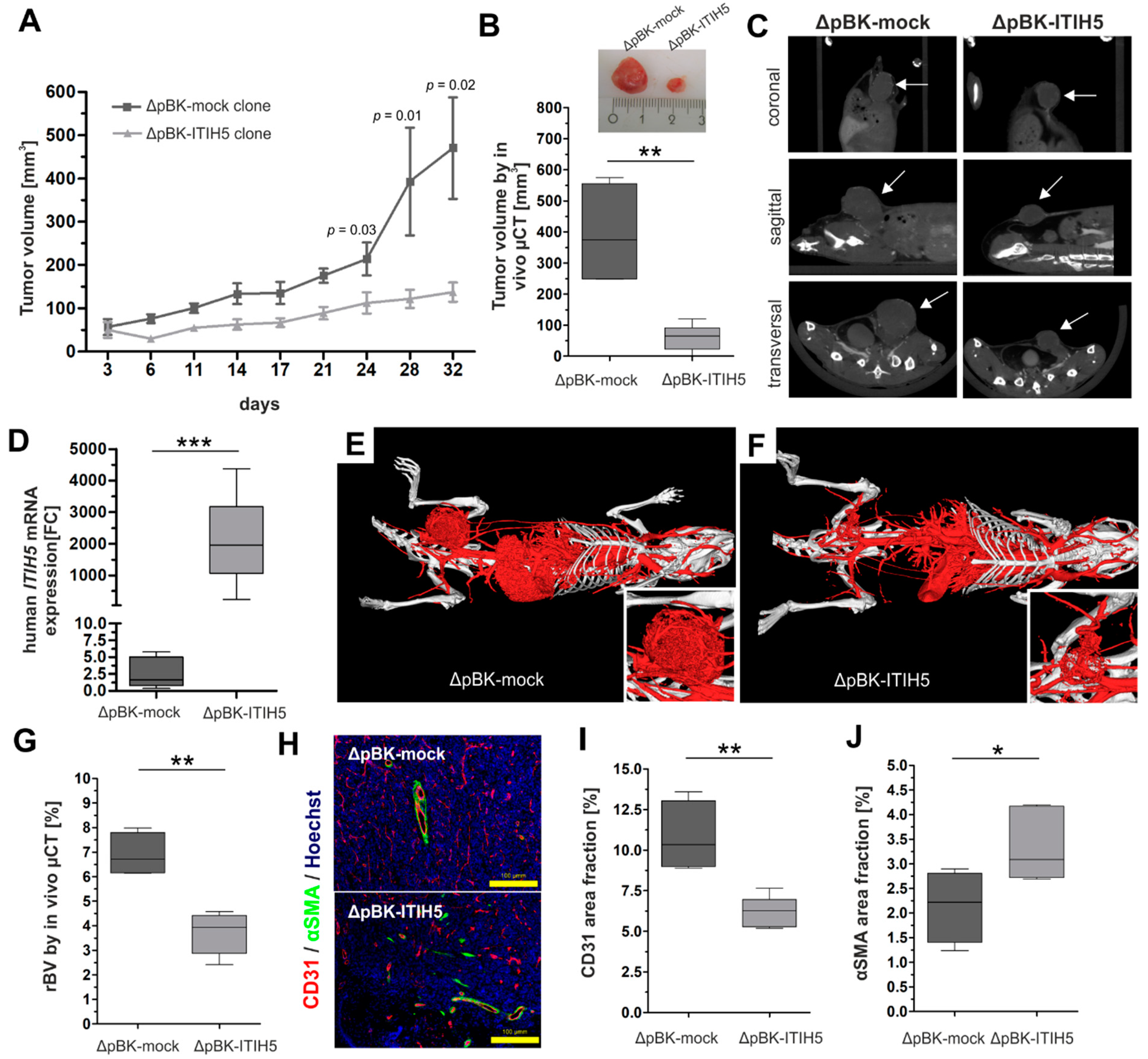 Cancers 14 00488 g001