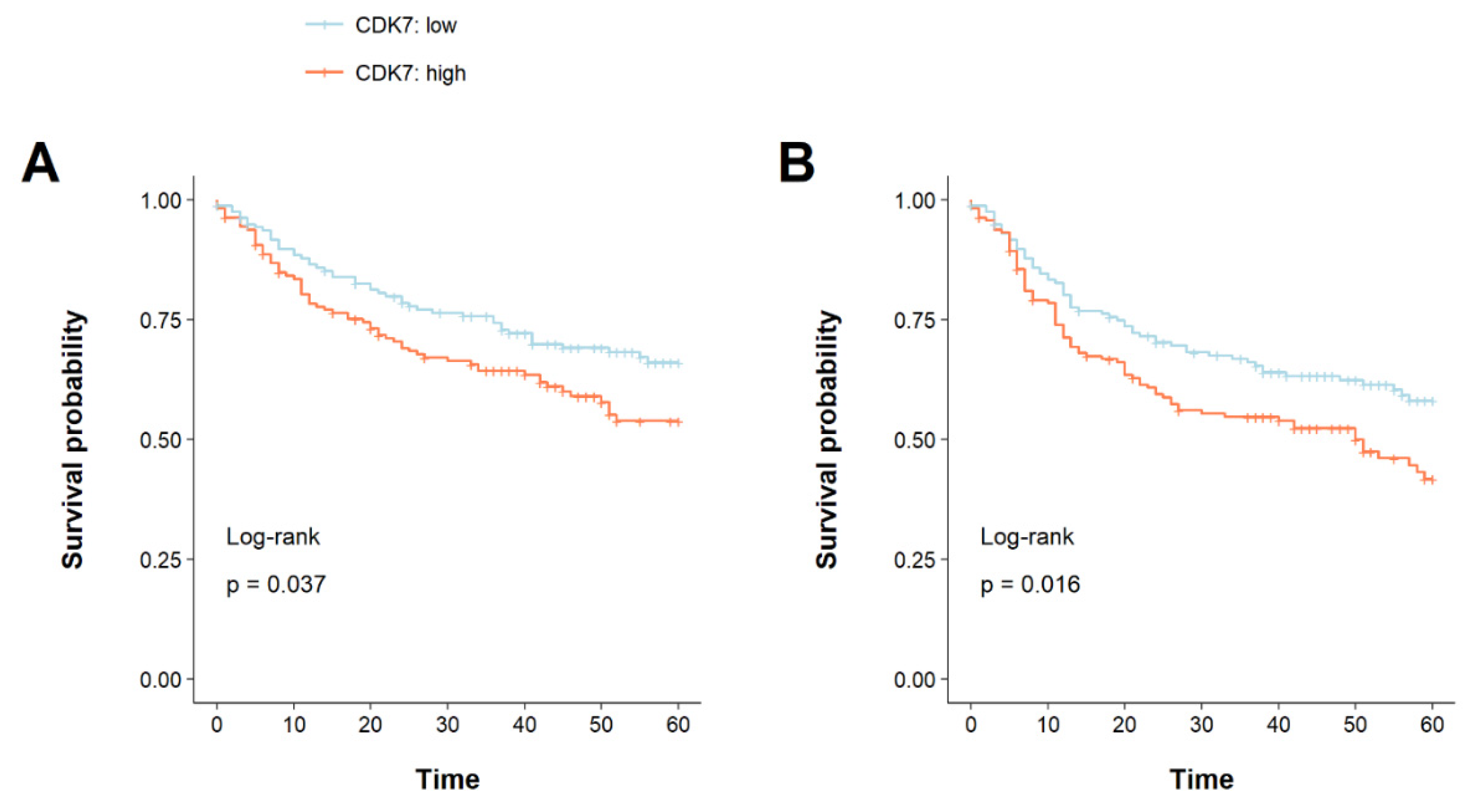 Cancers 14 00492 g002