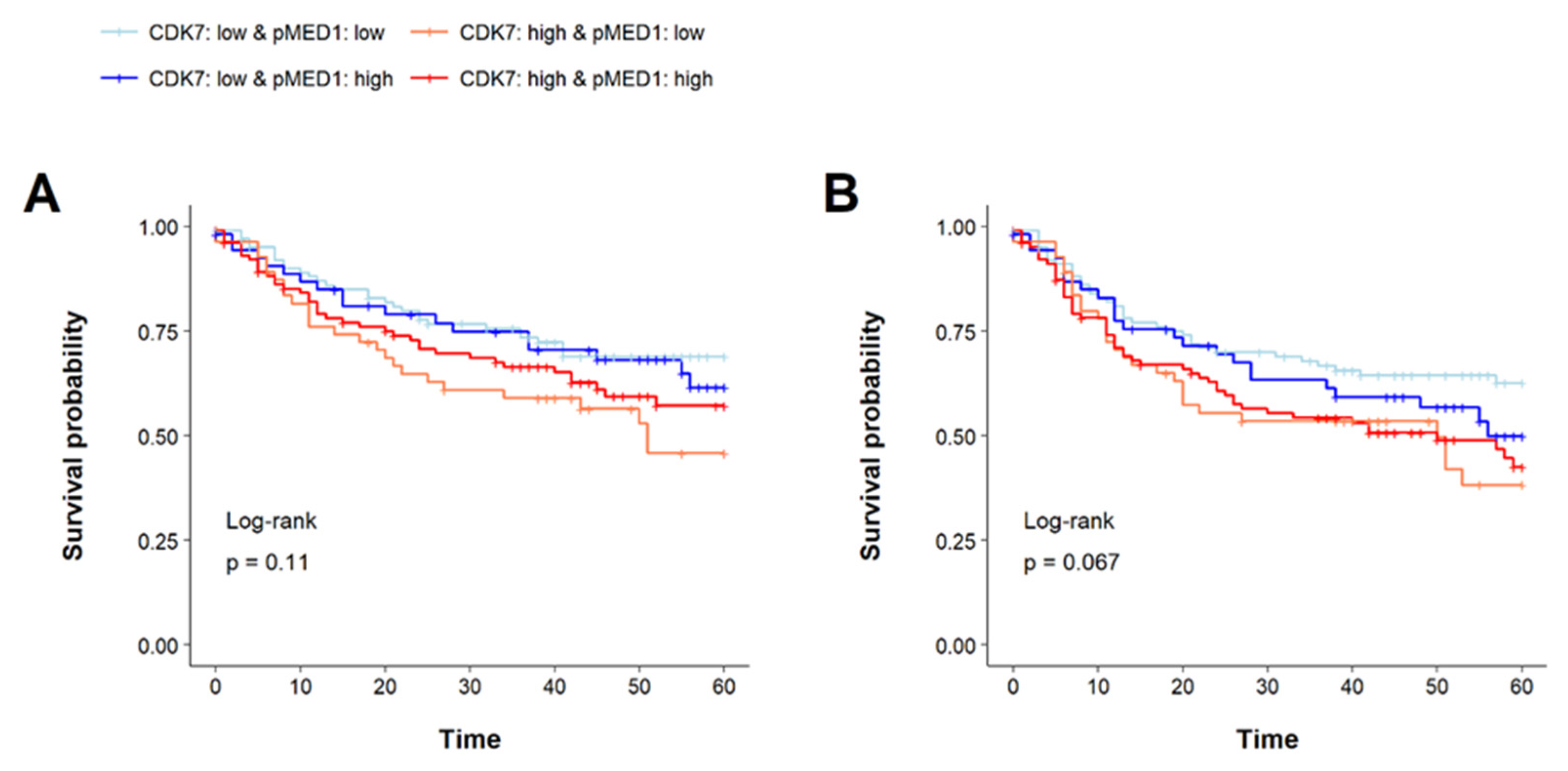 Cancers 14 00492 g006