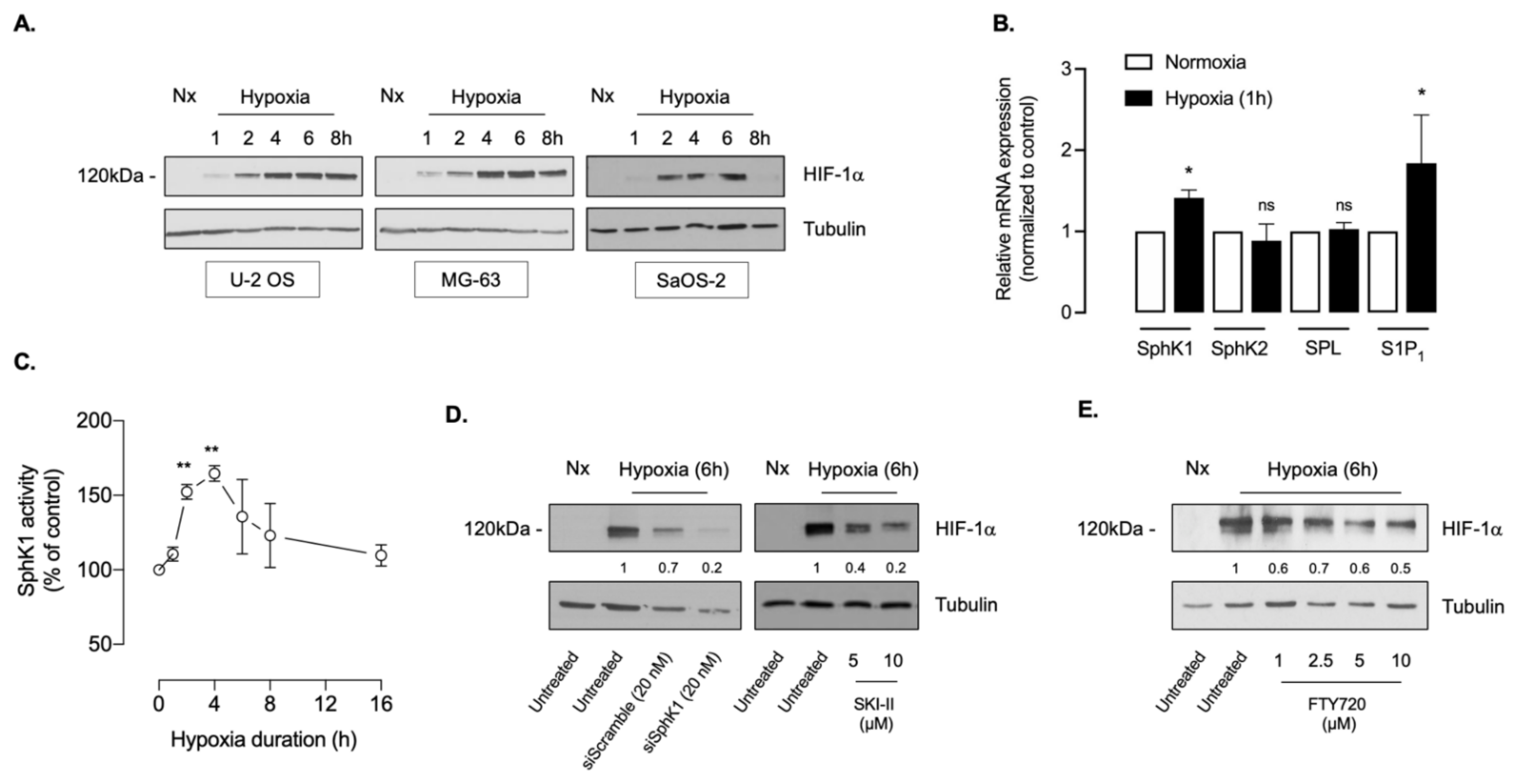 Cancers 14 00499 g001