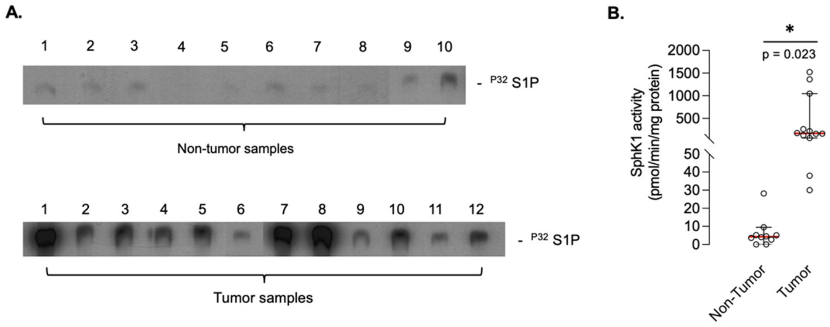 Cancers 14 00499 g002