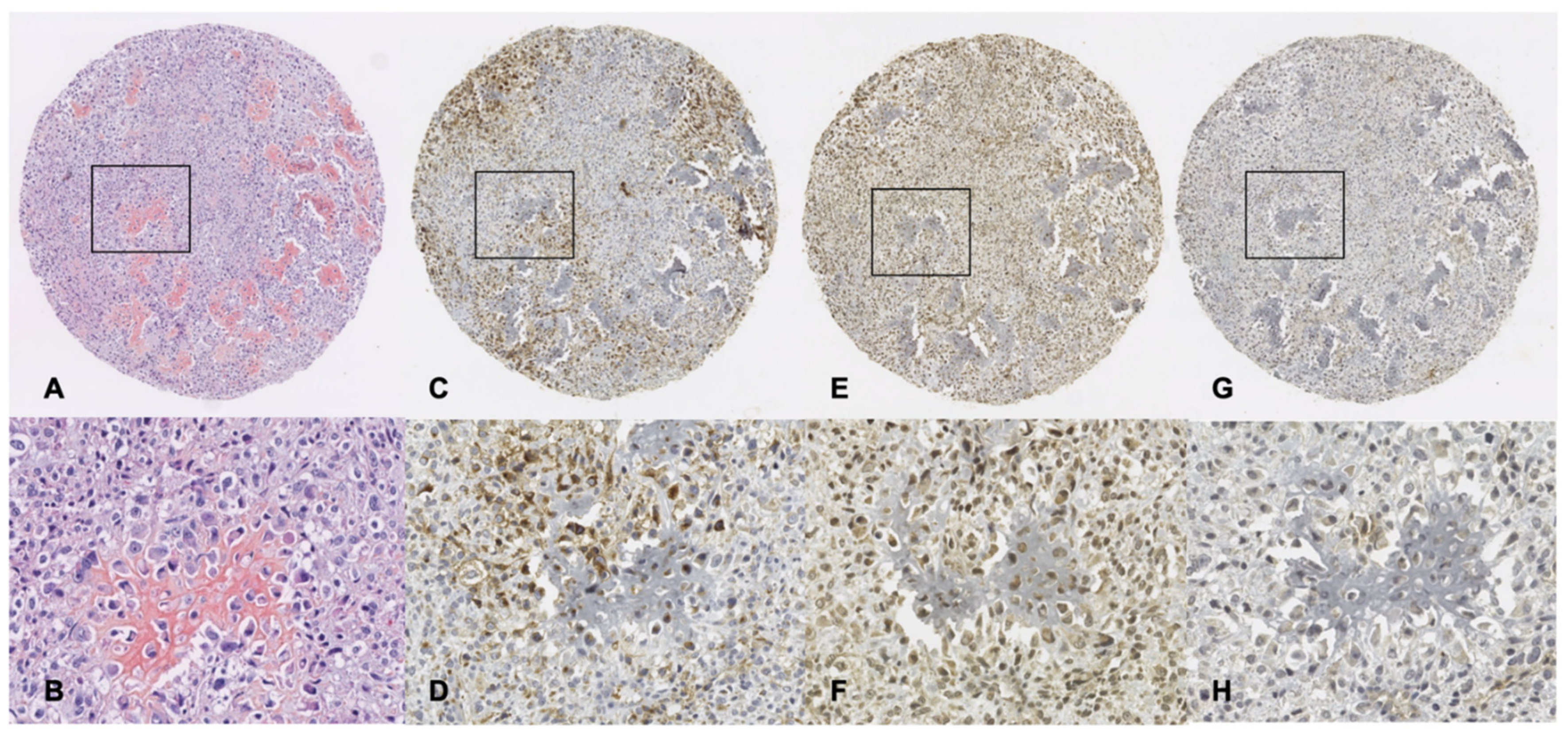 Cancers 14 00499 g003