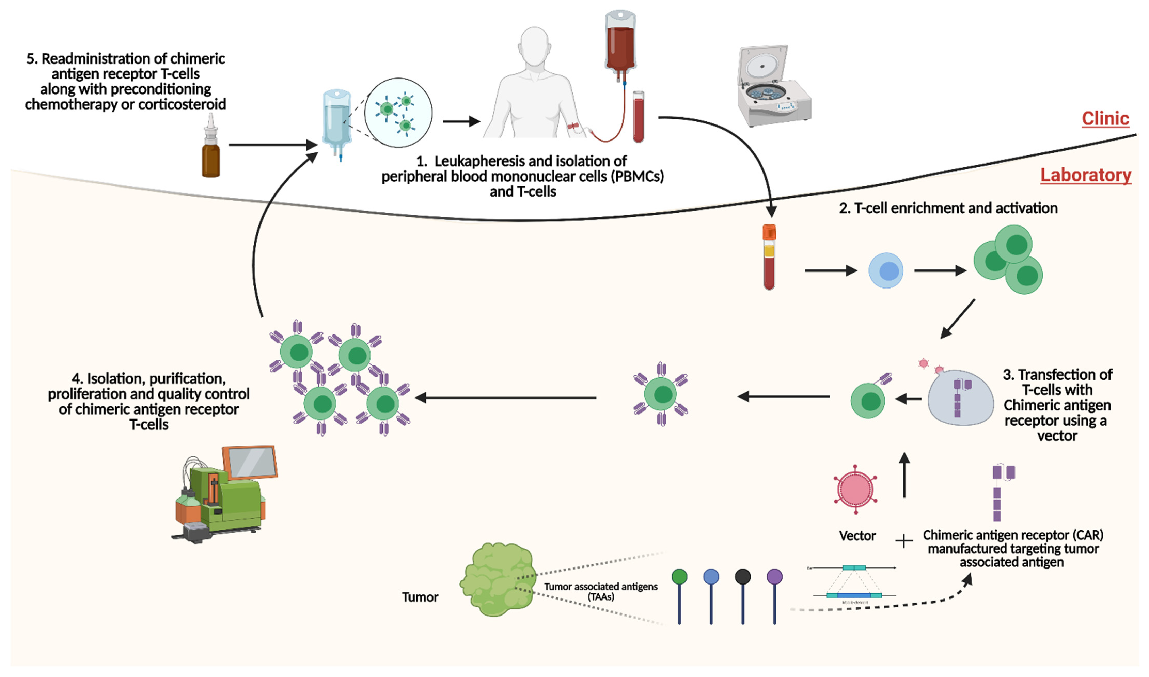 Cancers 14 00503 g001