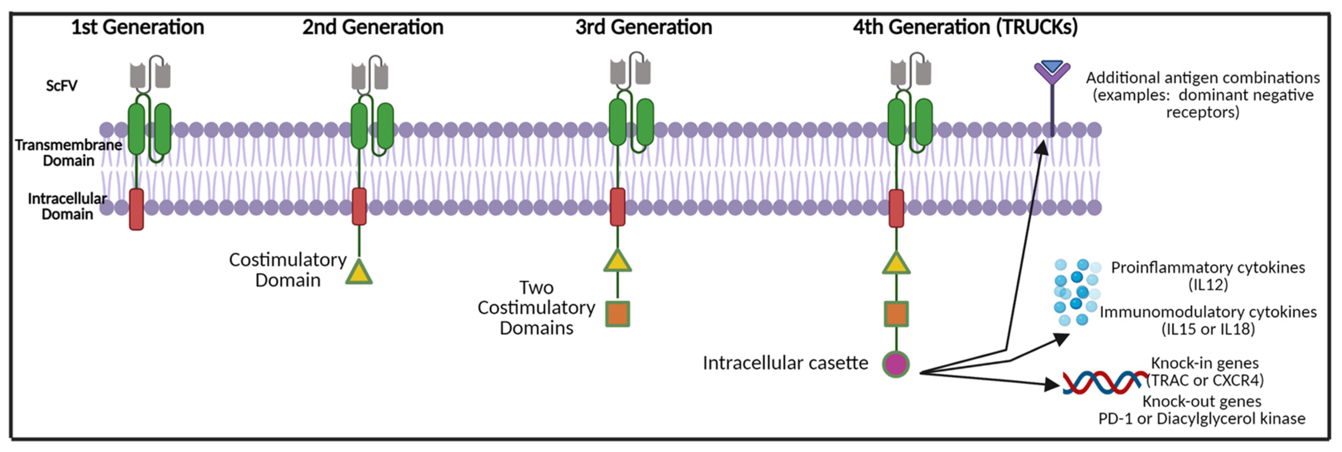 Cancers 14 00503 g002