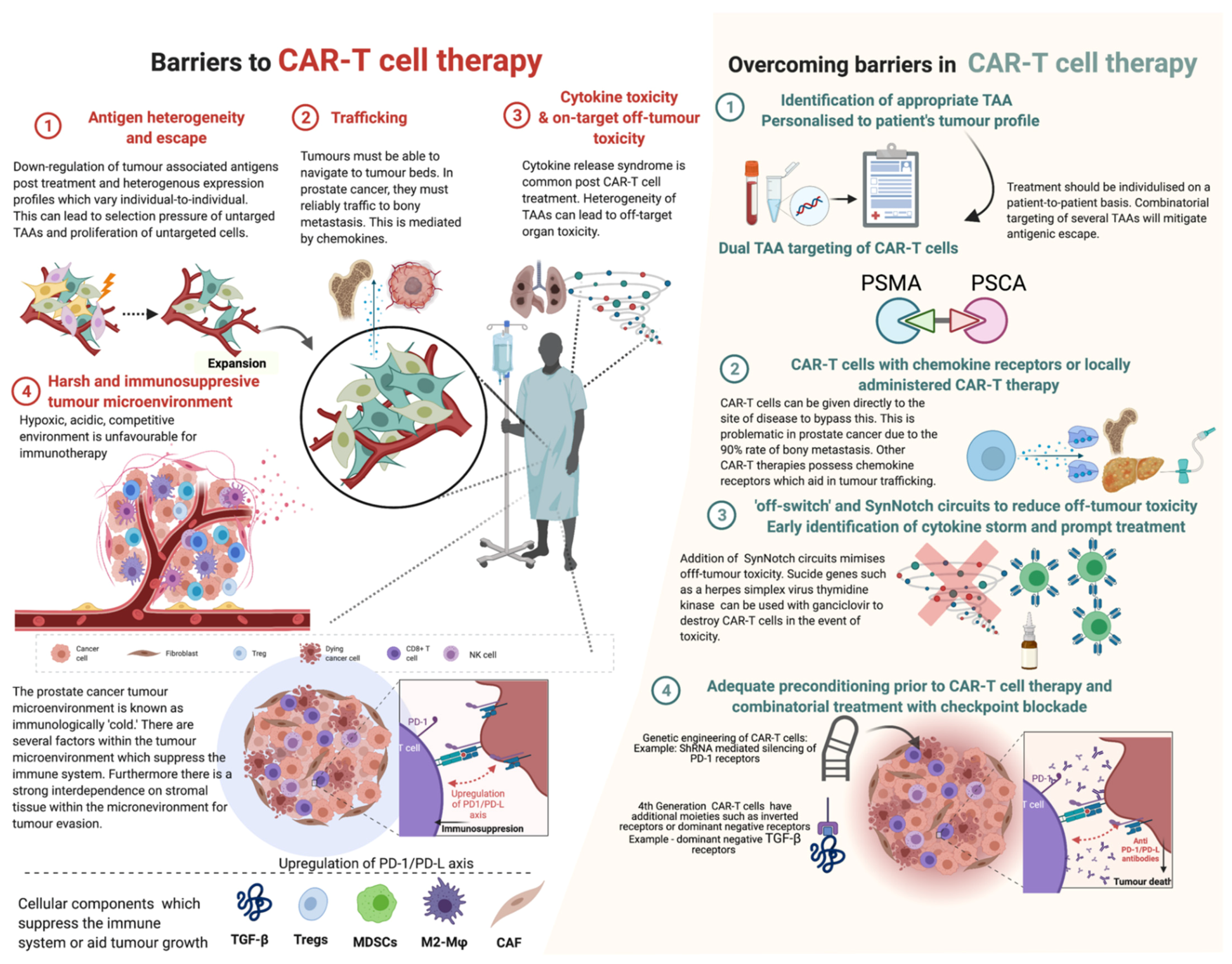 Cancers 14 00503 g003