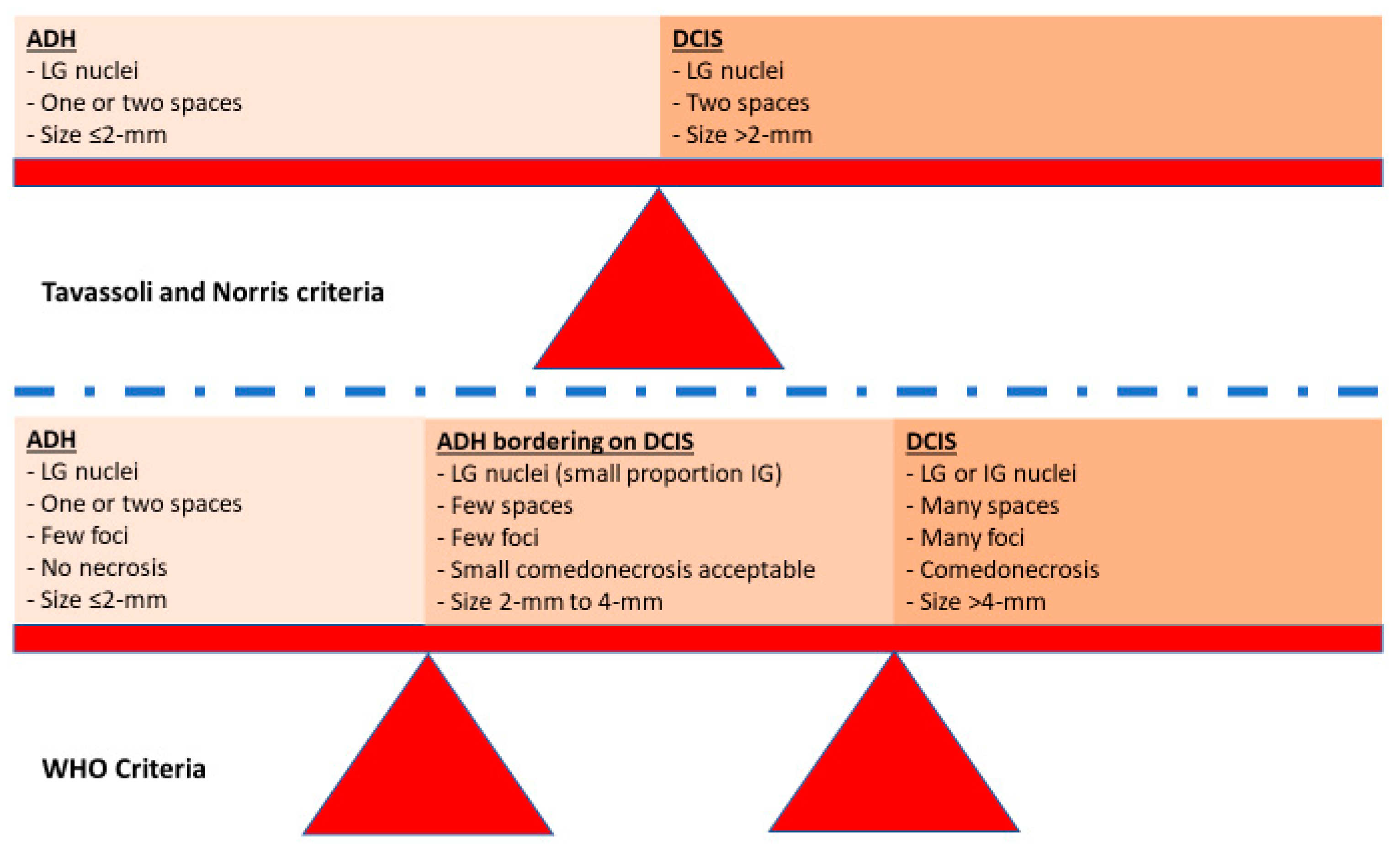 Cancers 14 00507 g003