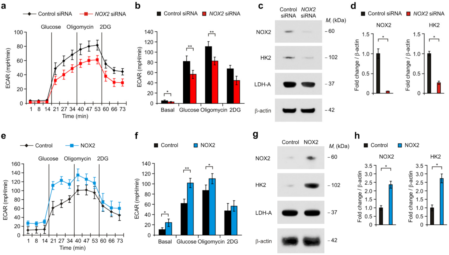 Cancers 14 00516 g002
