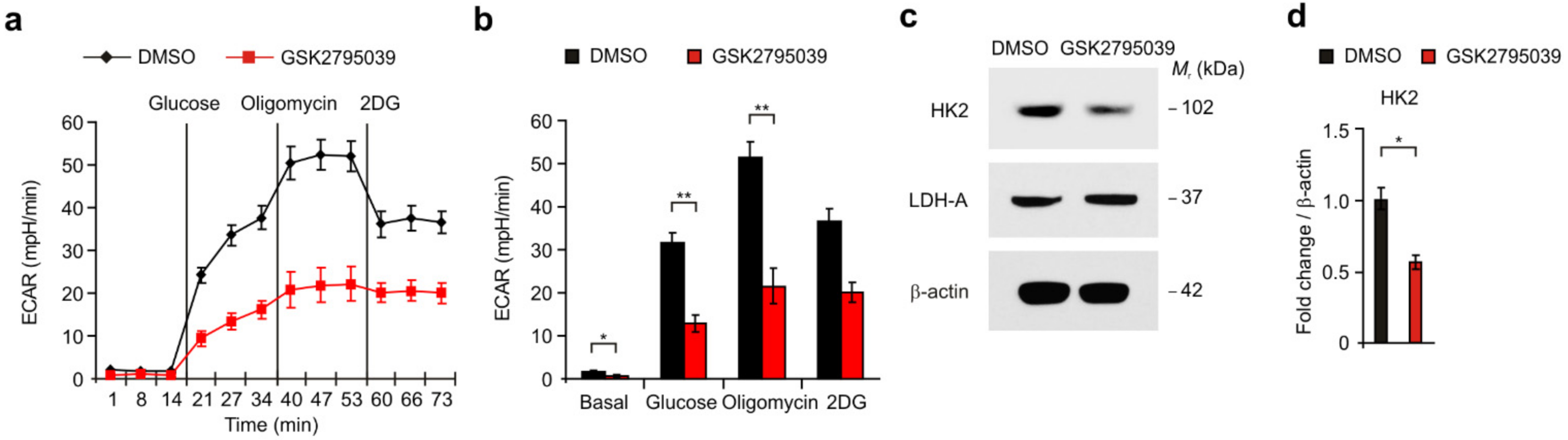 Cancers 14 00516 g003