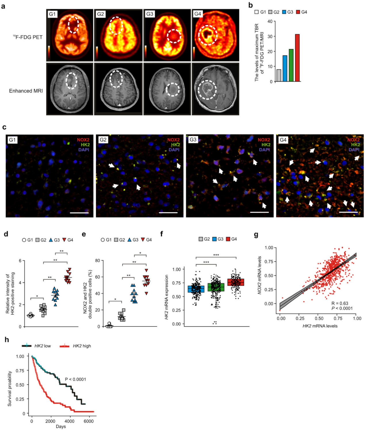 Cancers 14 00516 g004