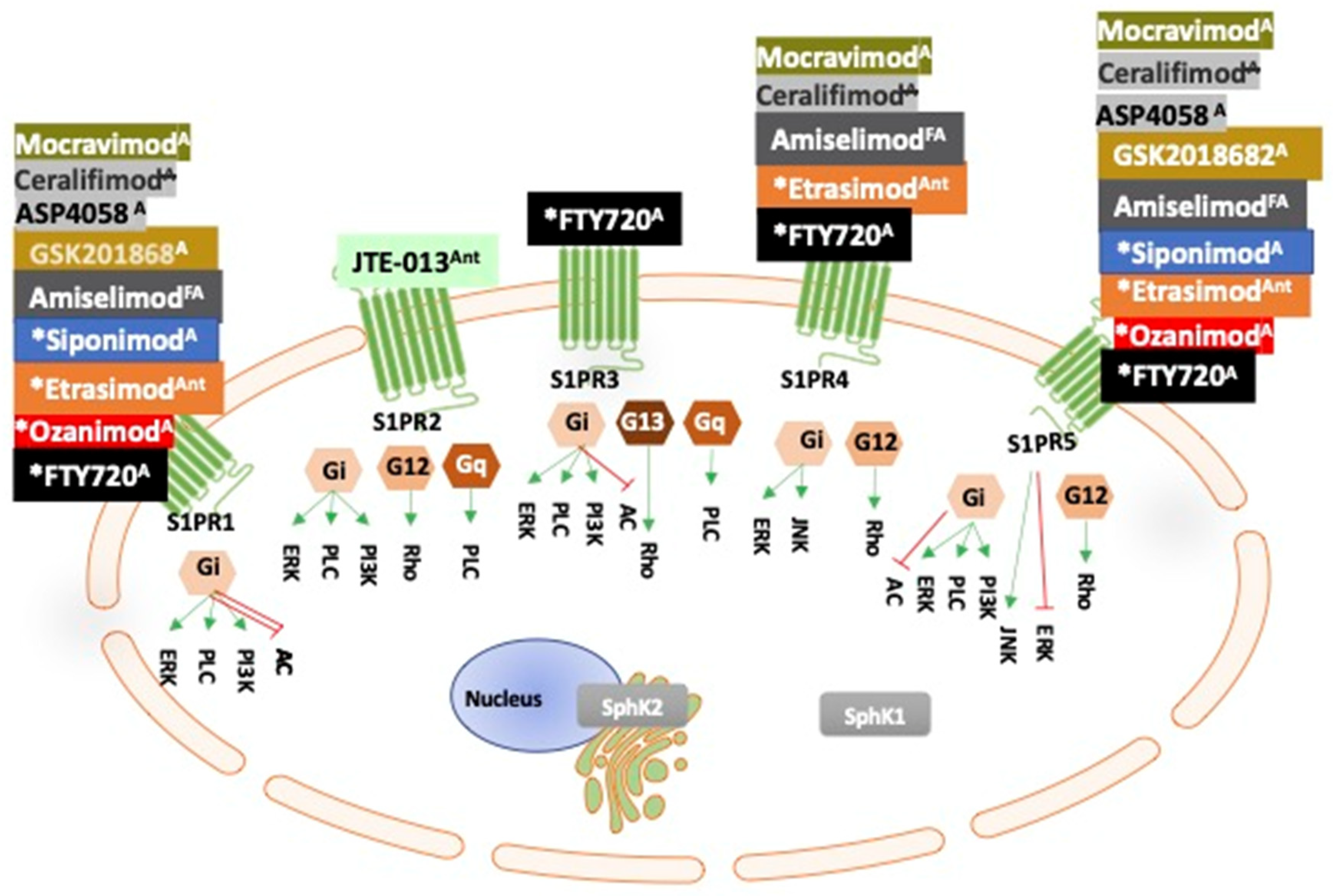 Cancers 14 00535 g002 Cancers 14 00535 g002