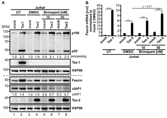 Cancers 14 00537 g0a2
