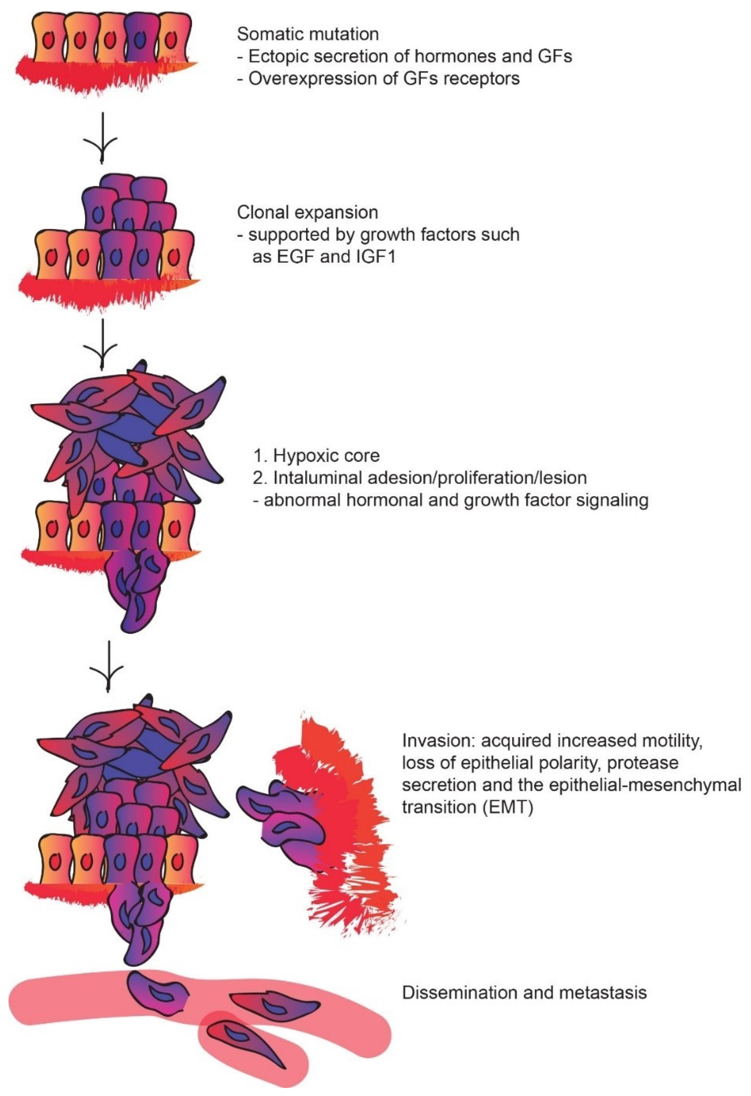 Cancers 14 00539 g001