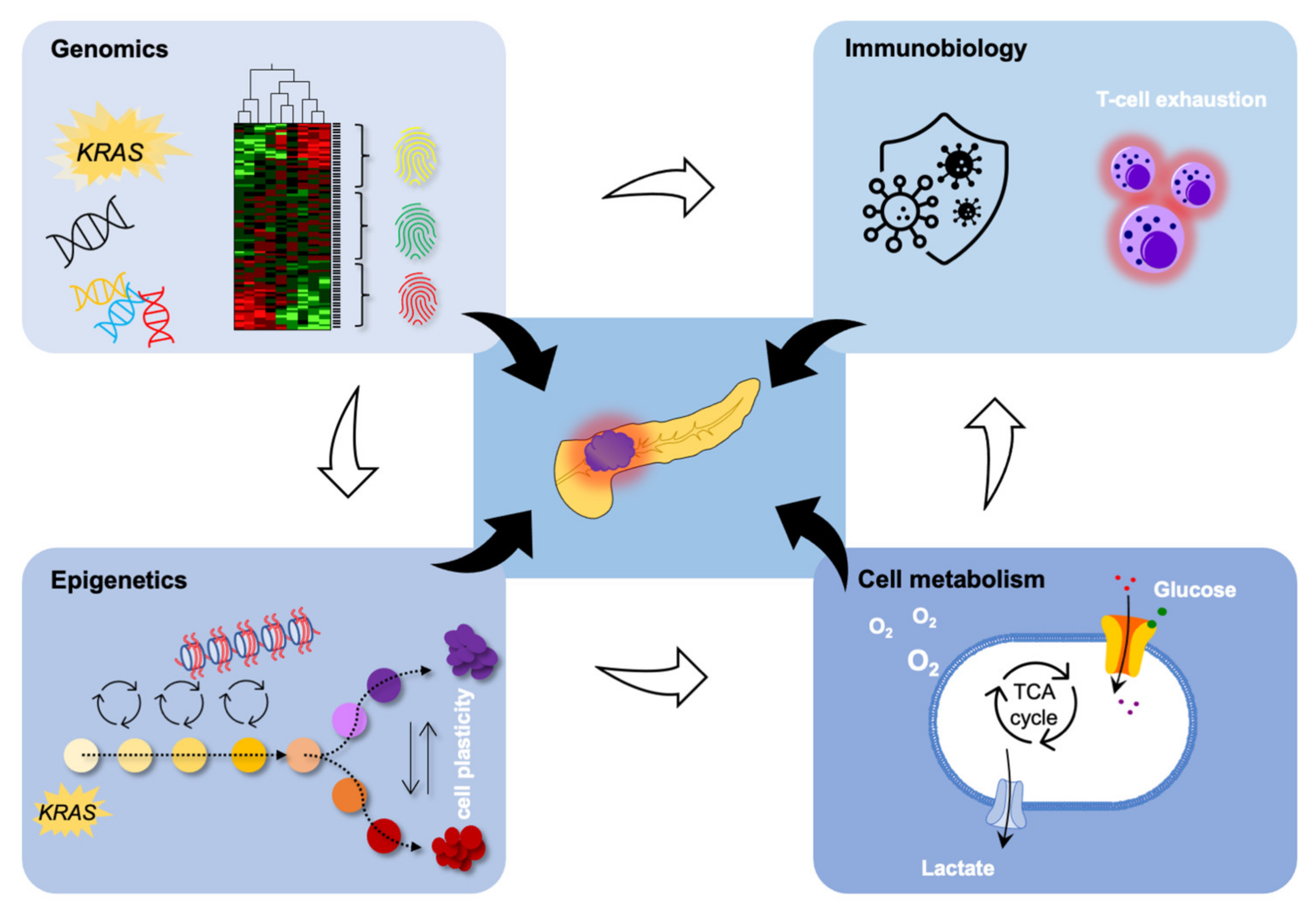 Cancers 14 00546 g001 Cancers 14 00546 g001