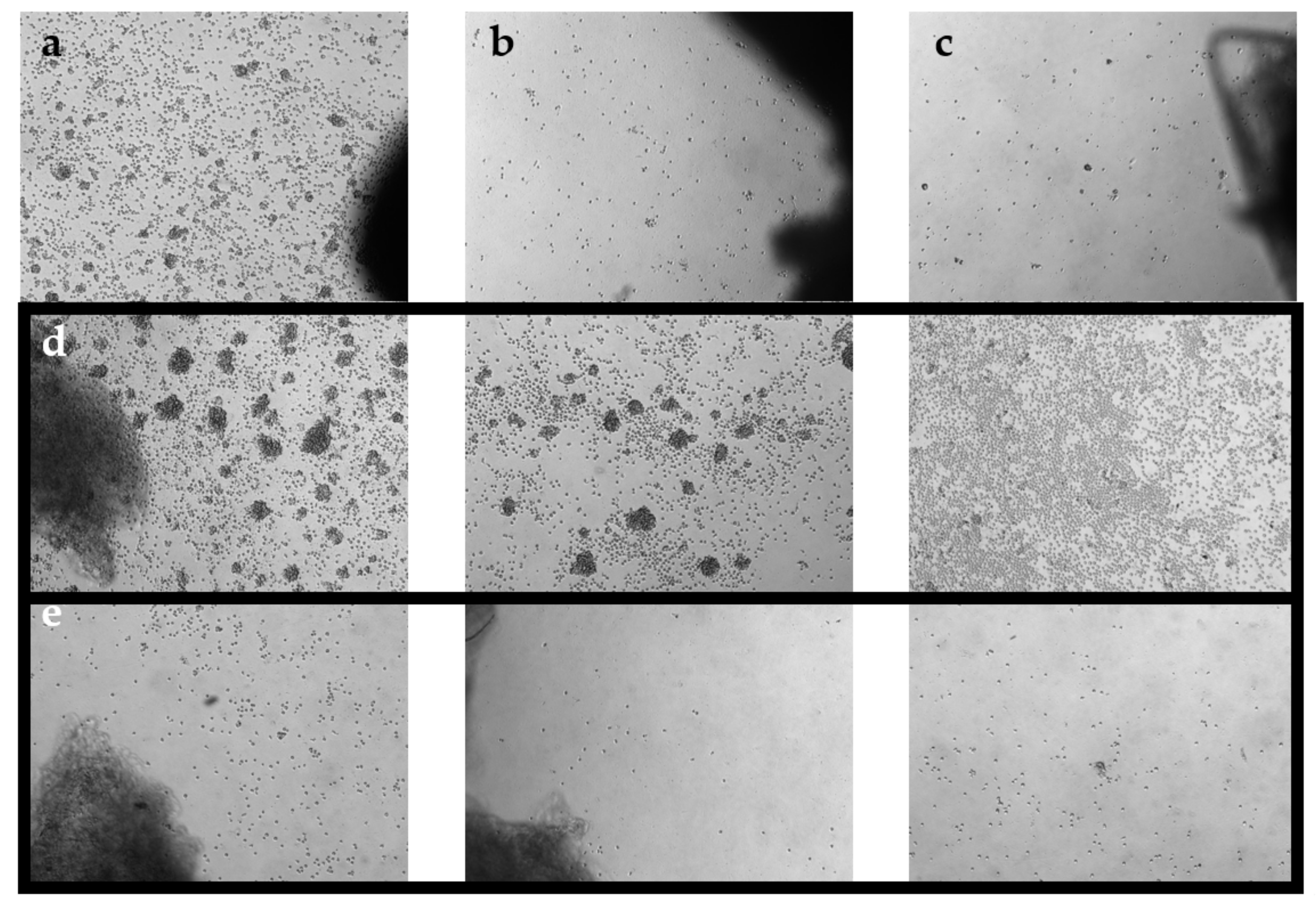 Cancers 14 00548 g001 Cancers 14 00548 g001