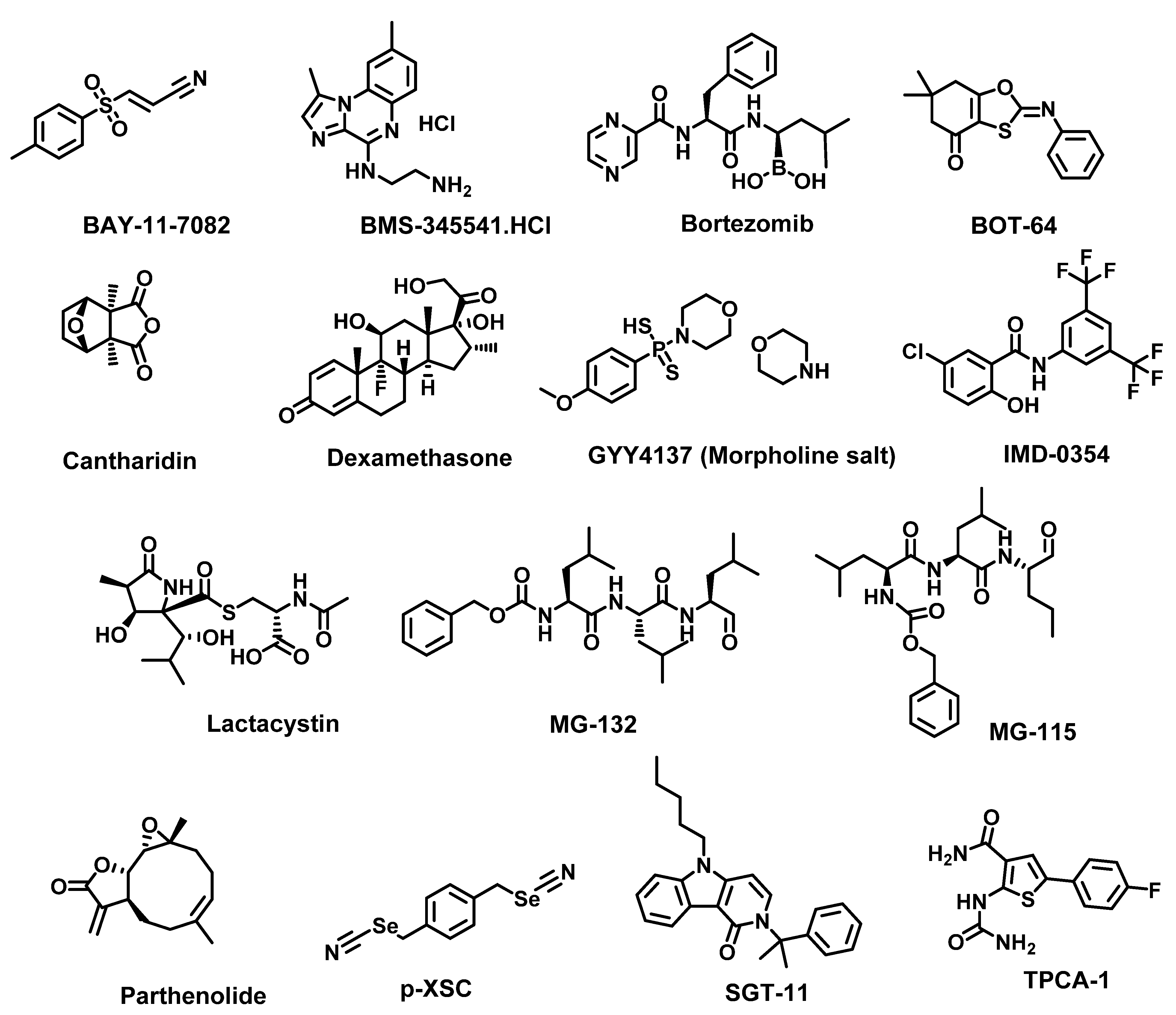 Cancers 14 00552 g008