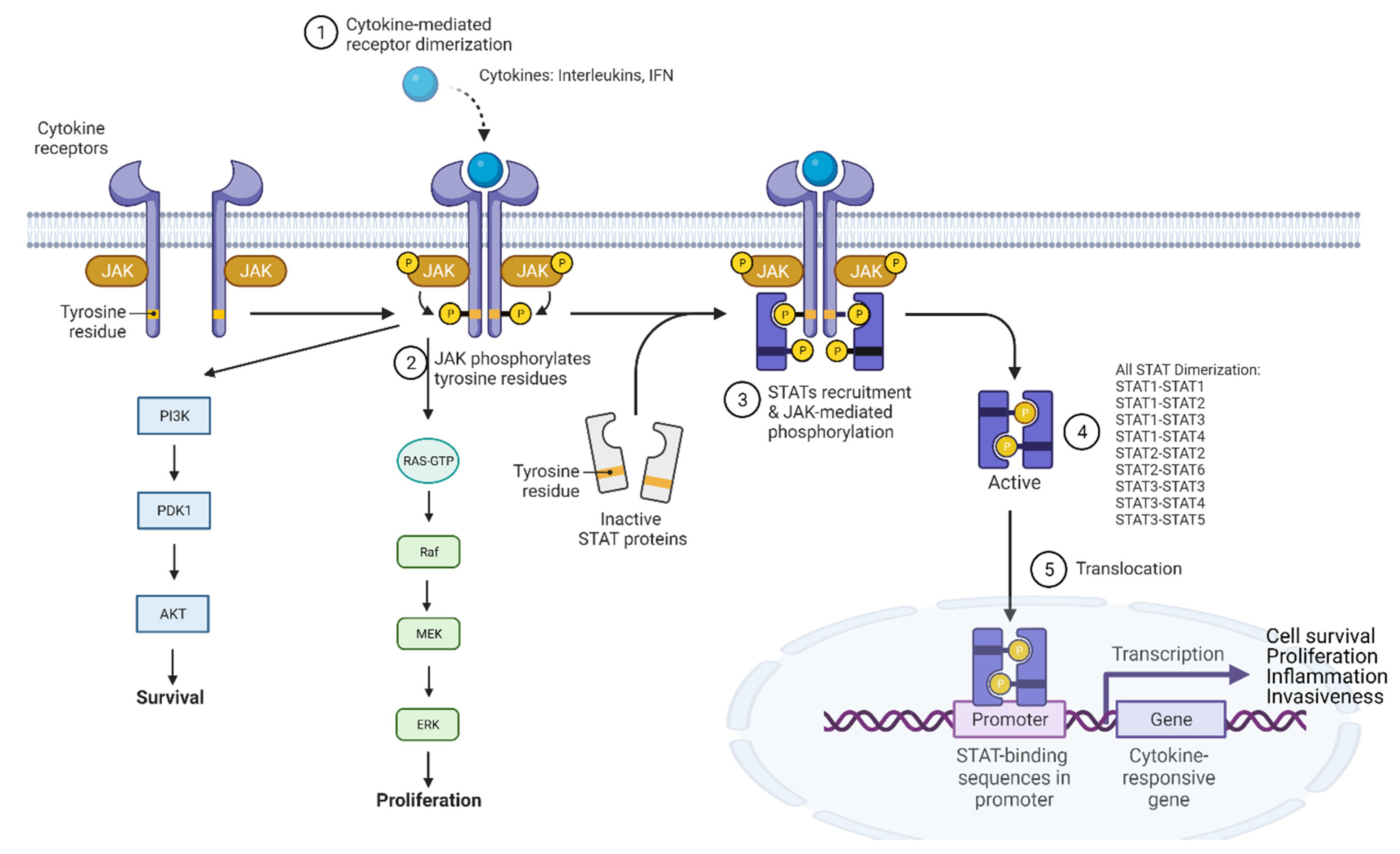 Cancers 14 00552 g009