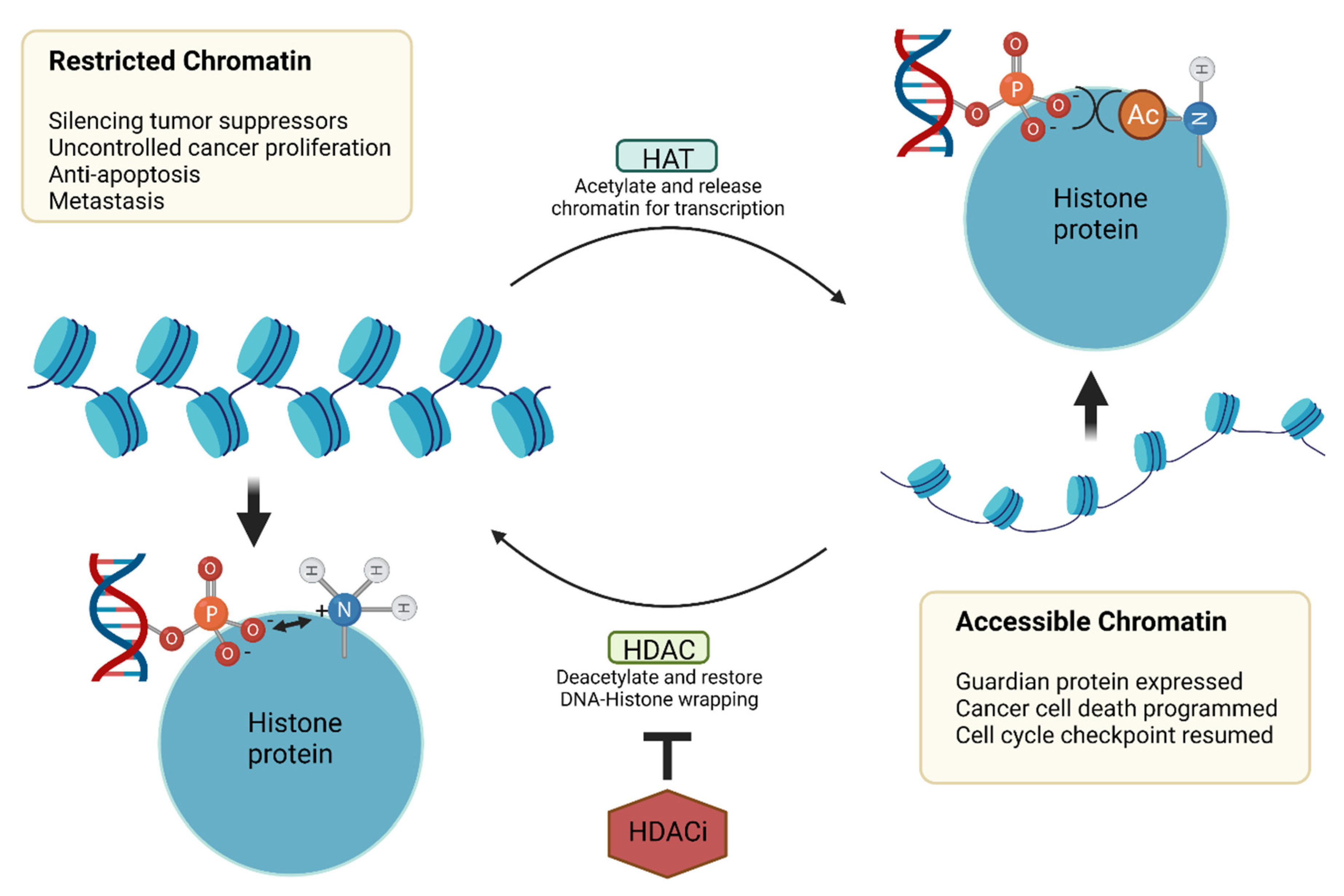 Cancers 14 00552 g013