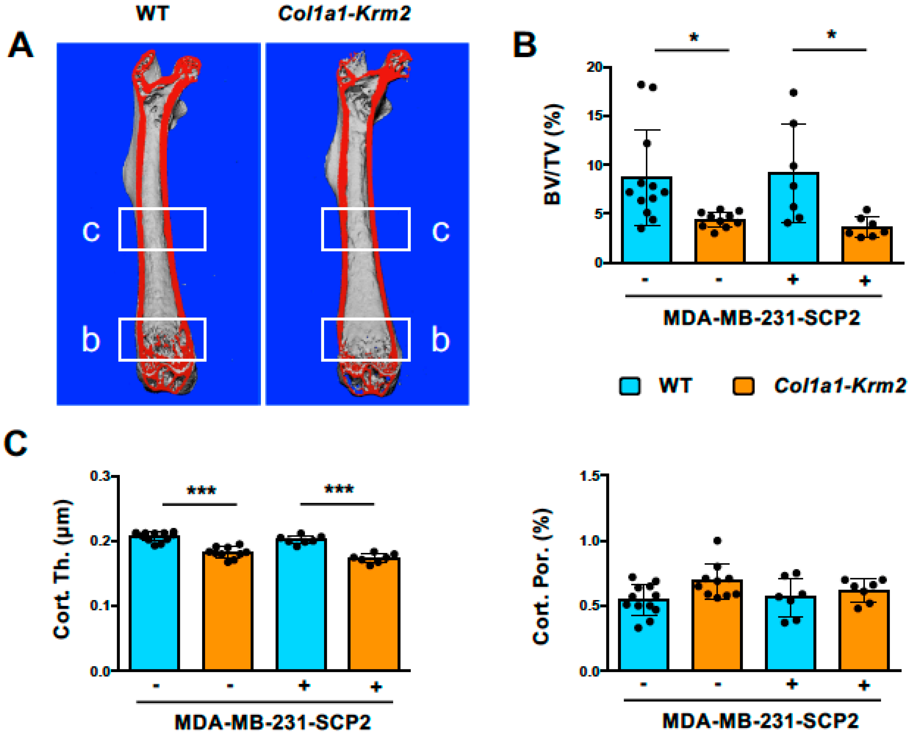 Cancers 14 00556 g001
