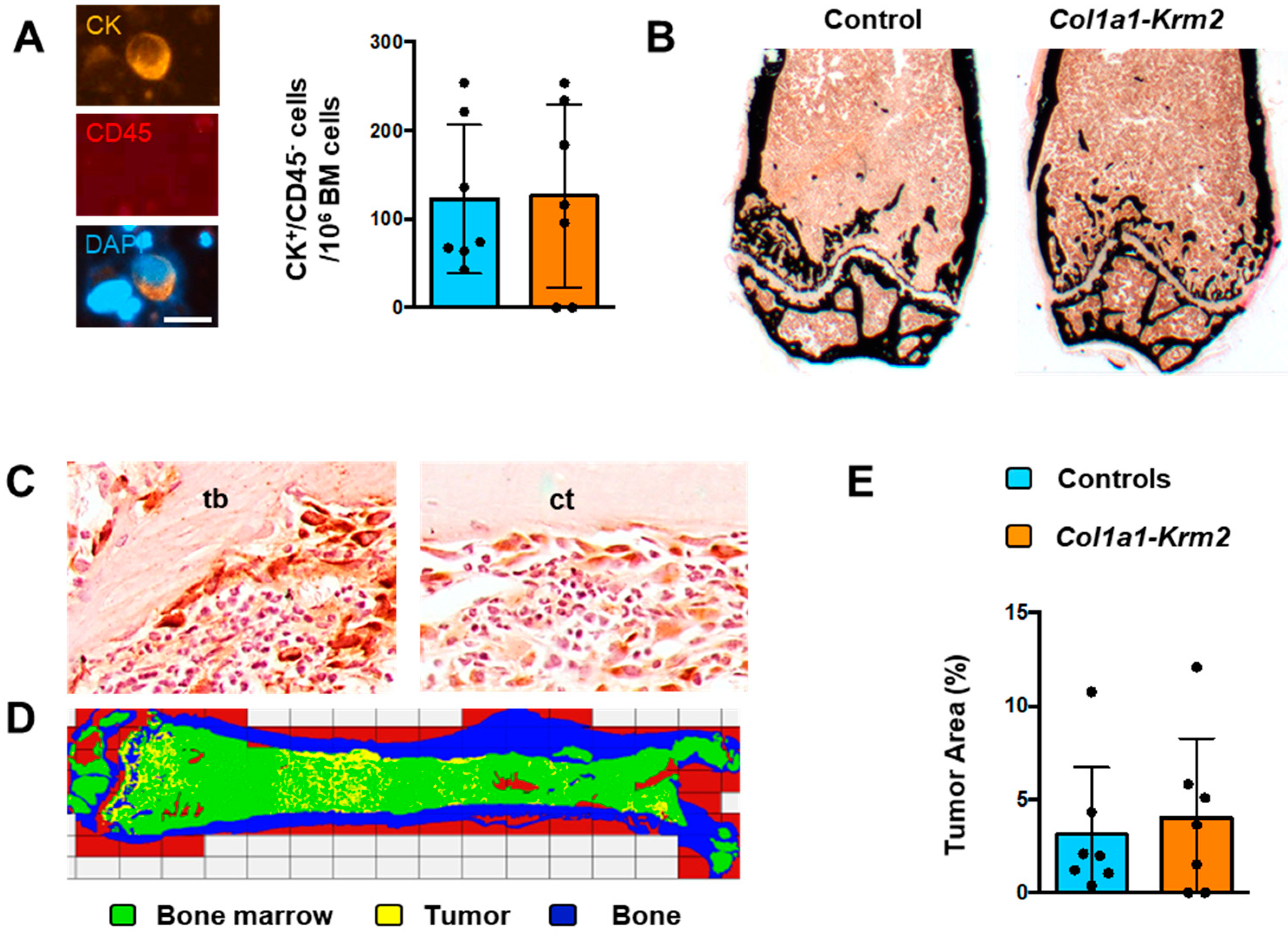 Cancers 14 00556 g002