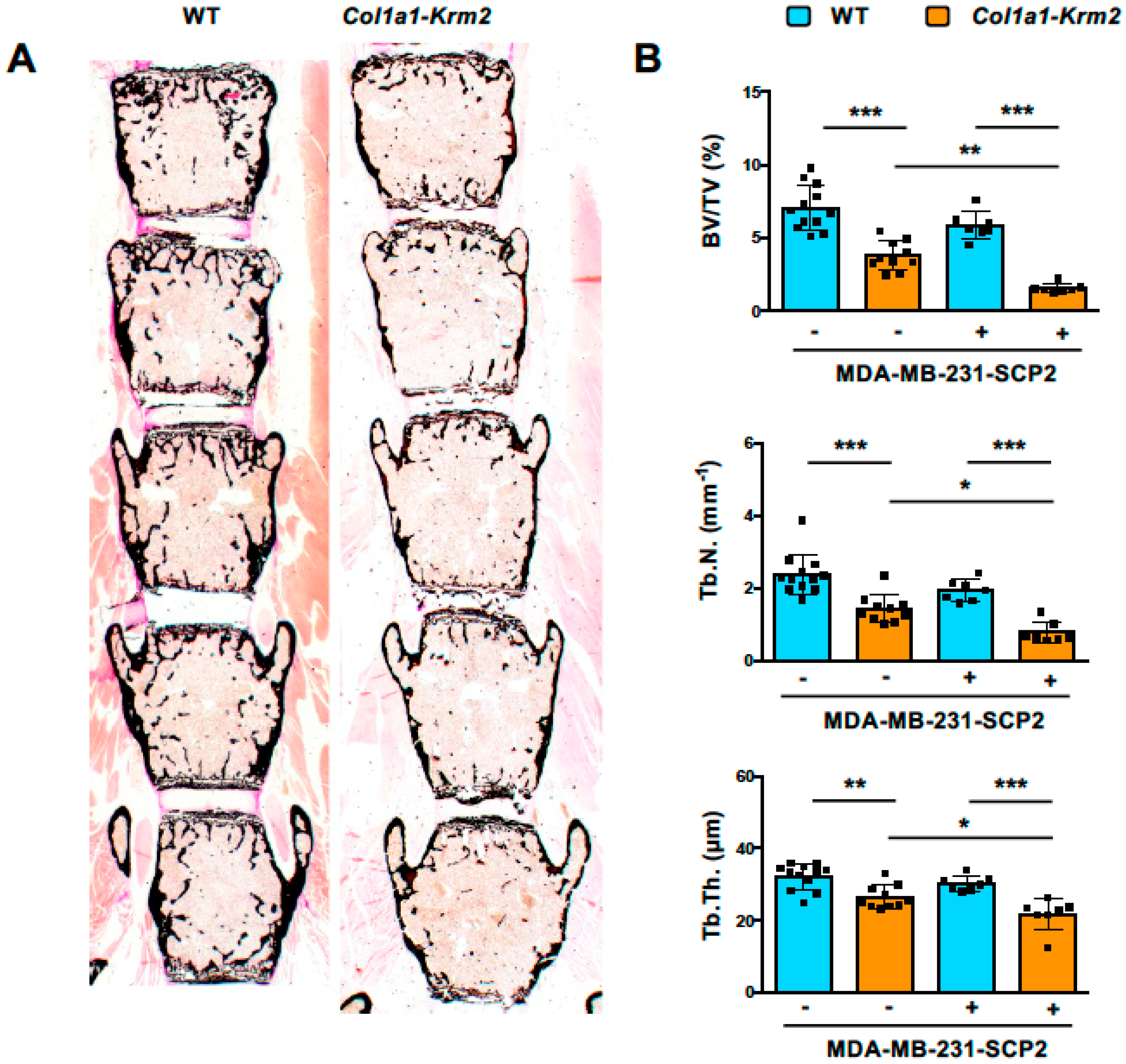 Cancers 14 00556 g003