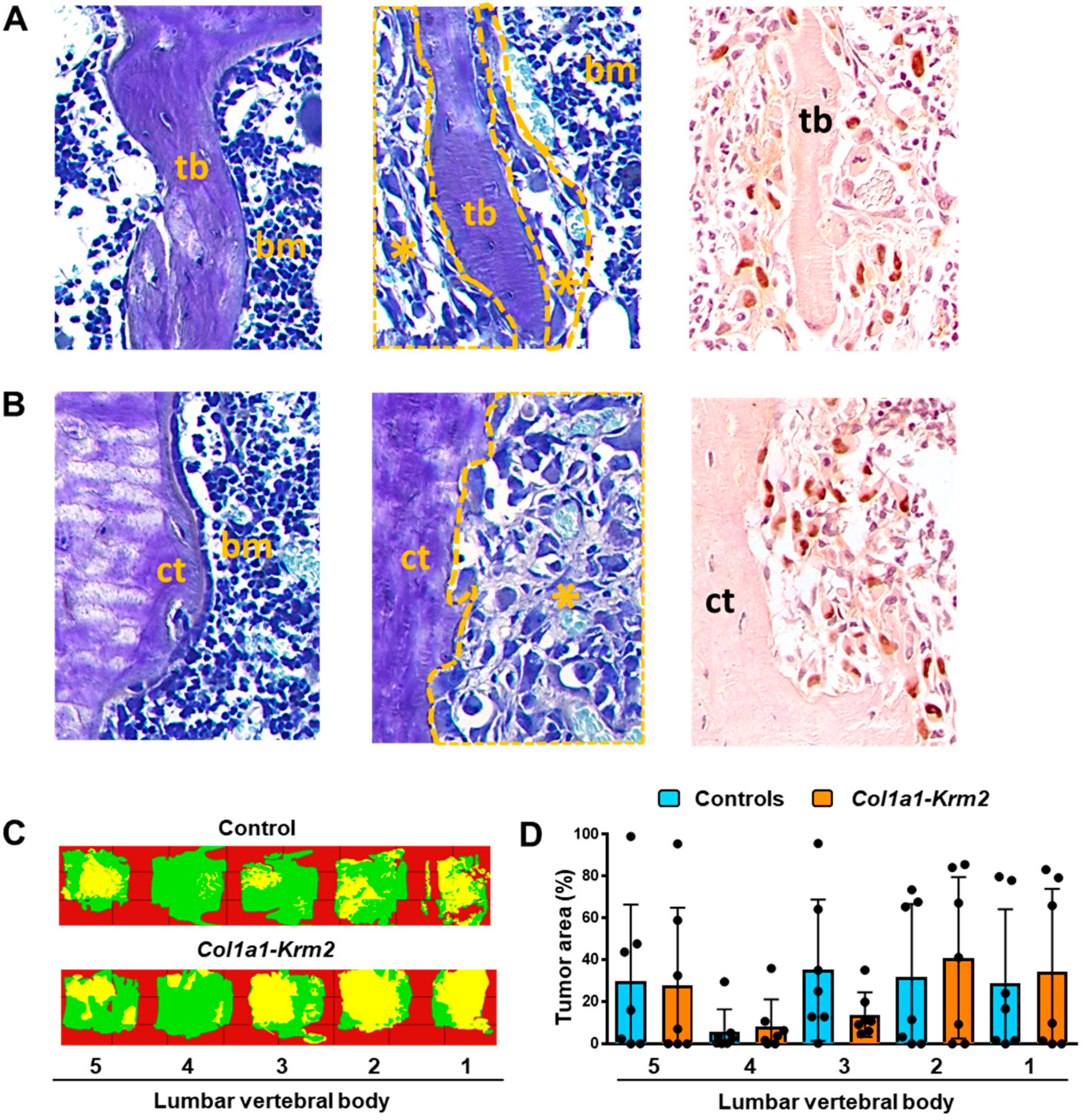 Cancers 14 00556 g004