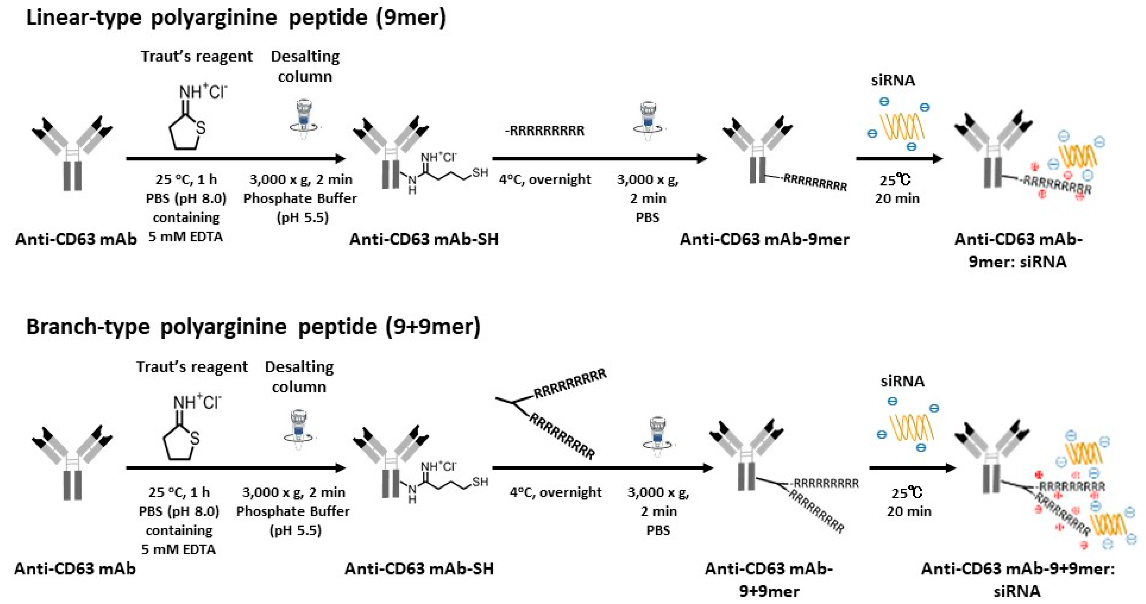 Cancers 14 00566 g002 Cancers 14 00566 g002
