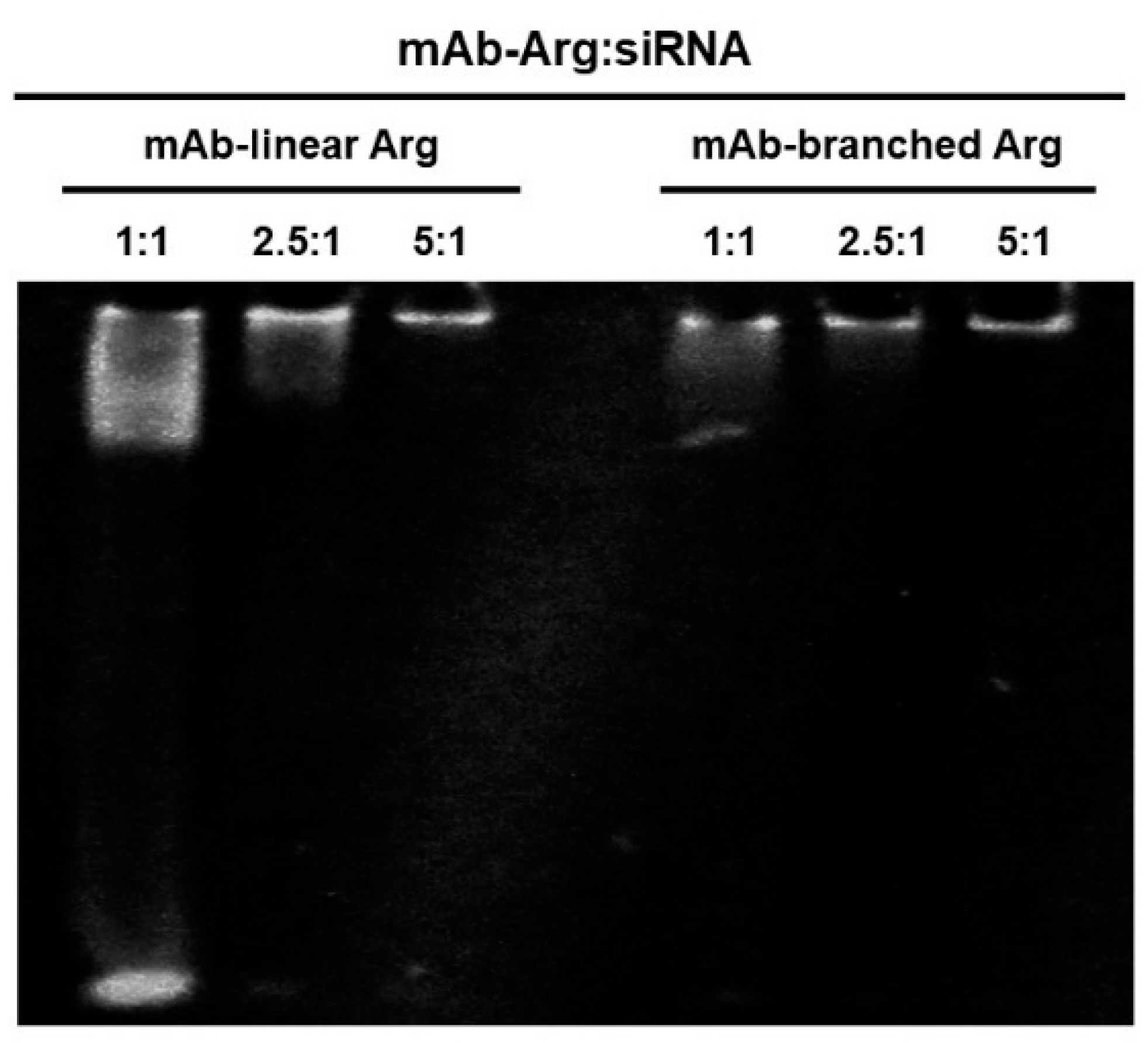 Cancers 14 00566 g003 Cancers 14 00566 g003