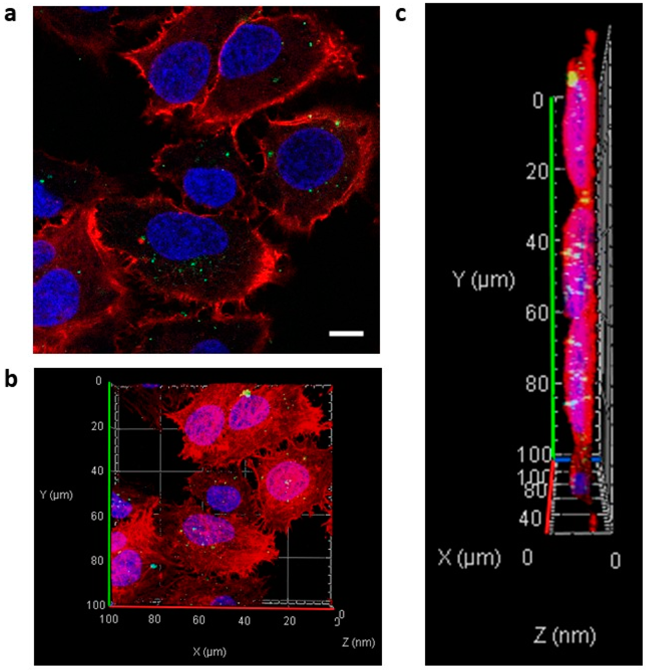 Cancers 14 00566 g004 Cancers 14 00566 g004