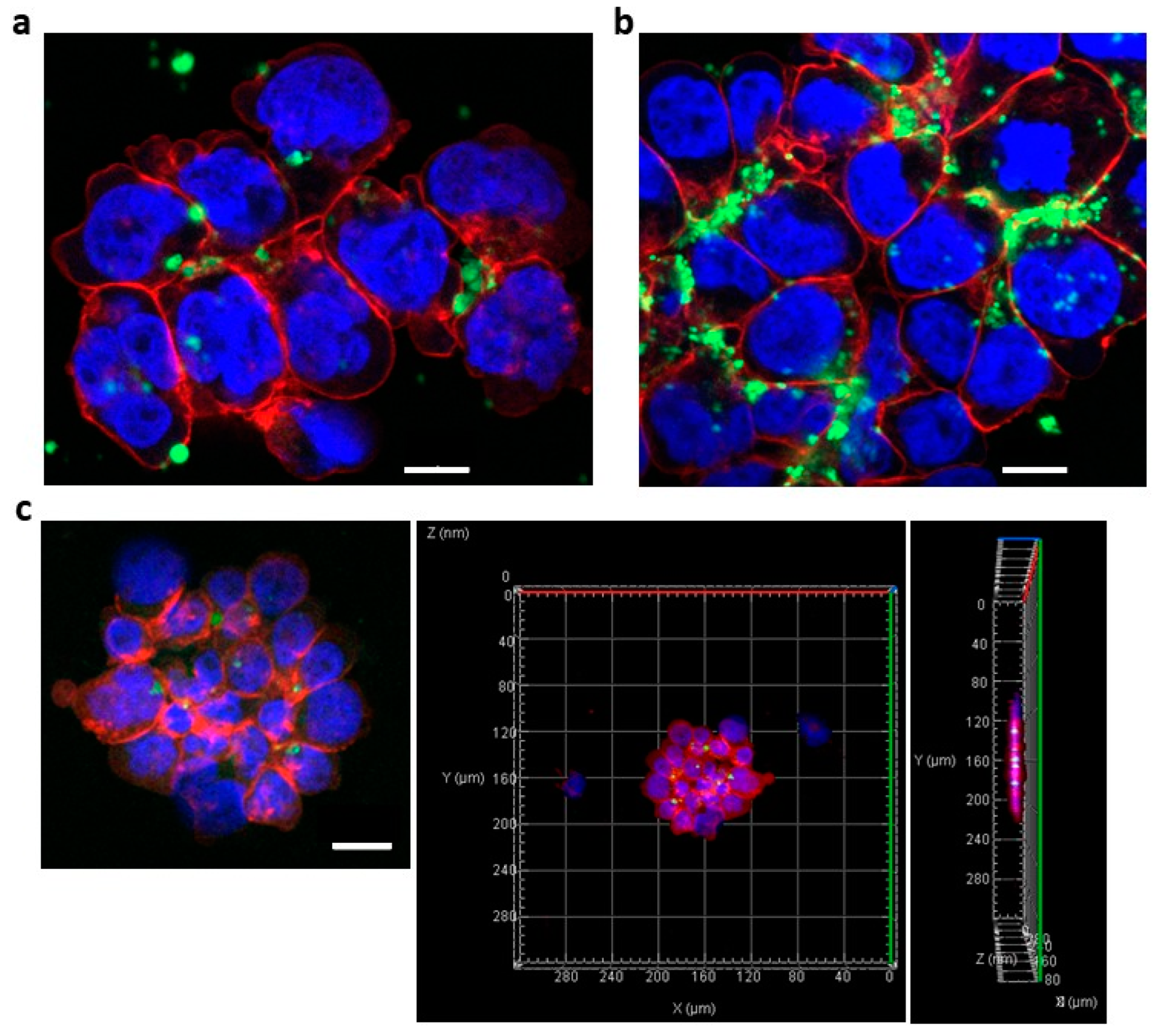 Cancers 14 00566 g005 Cancers 14 00566 g005