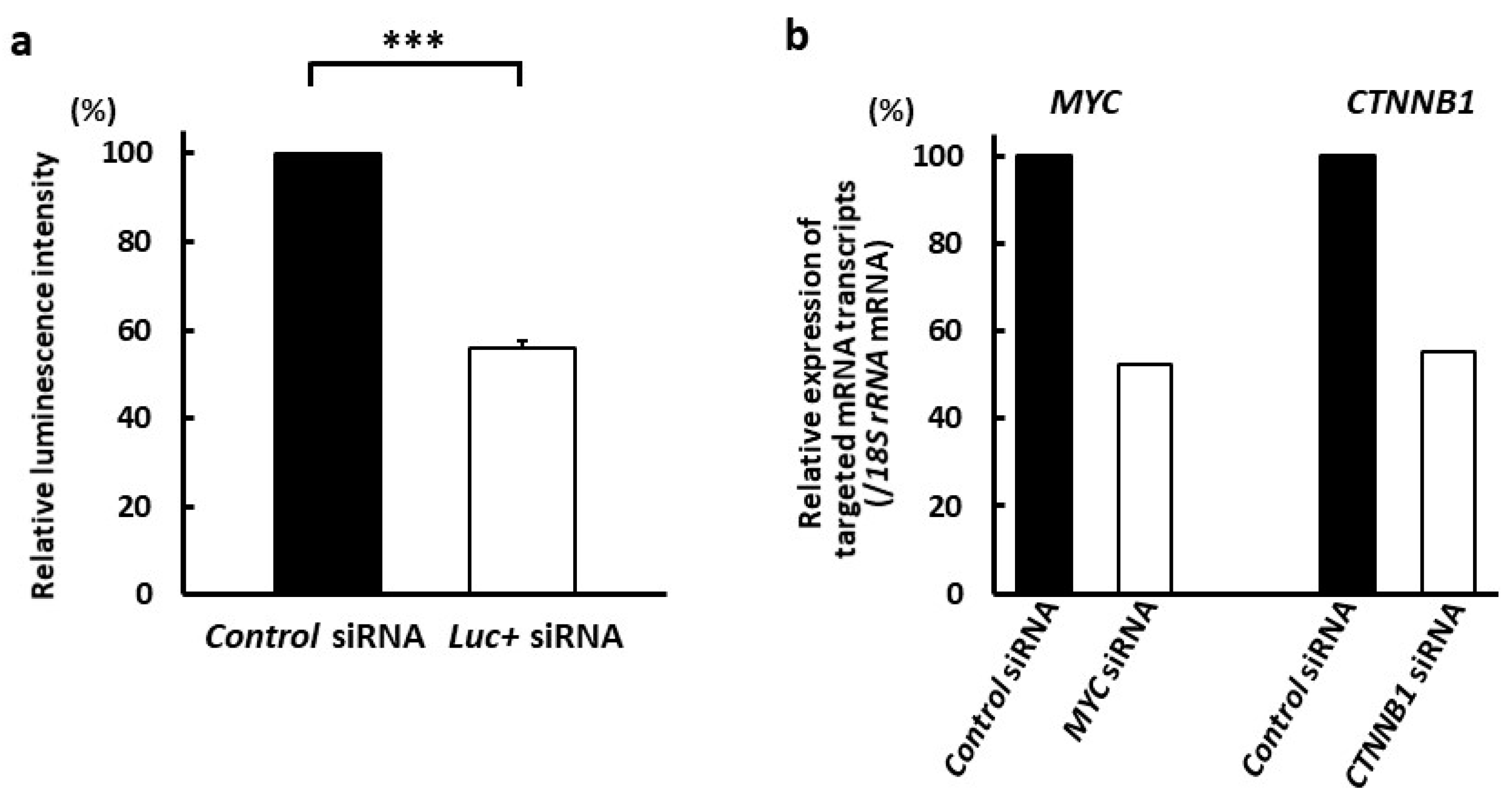 Cancers 14 00566 g007 Cancers 14 00566 g007