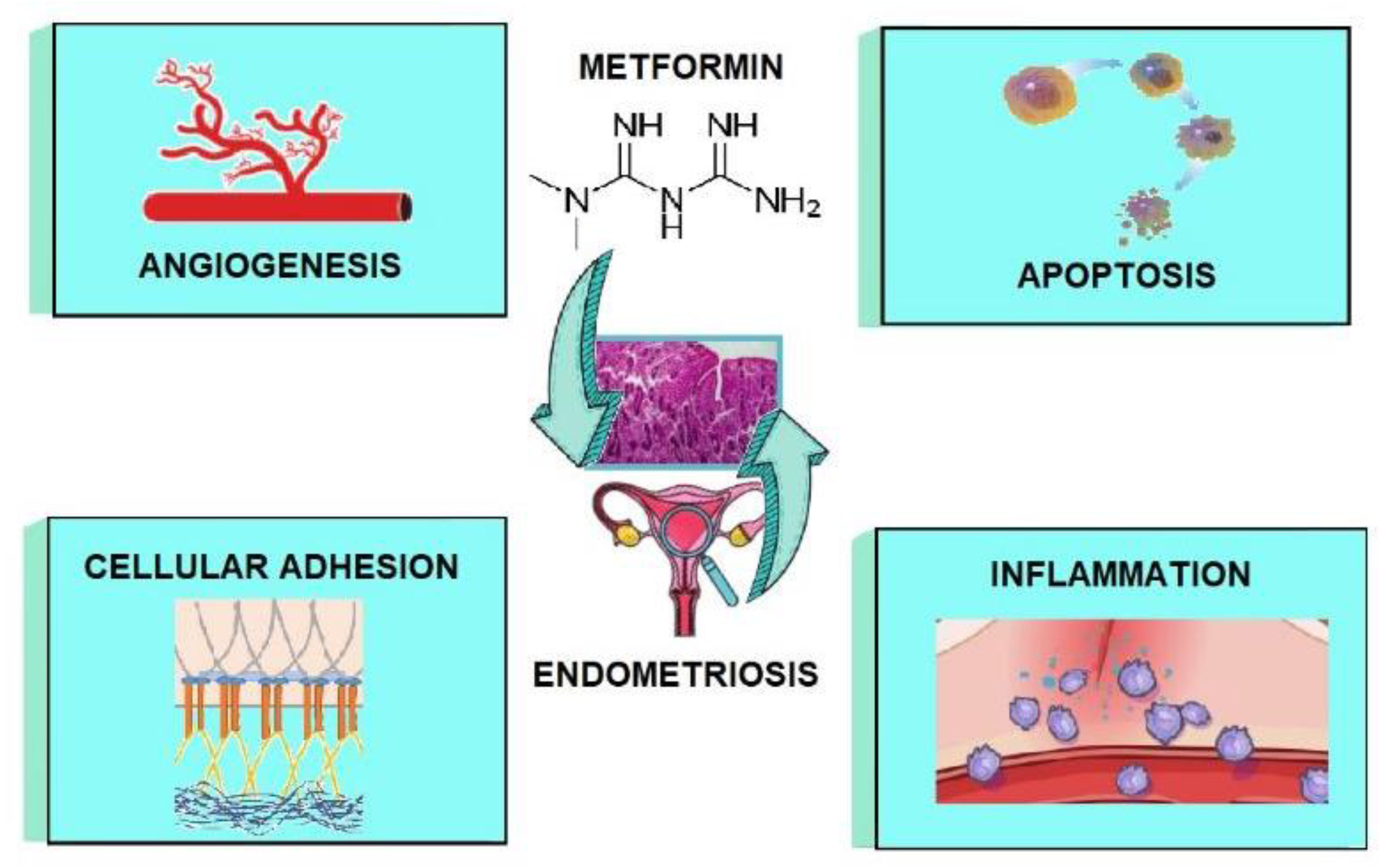 Cancers 14 00577 g001