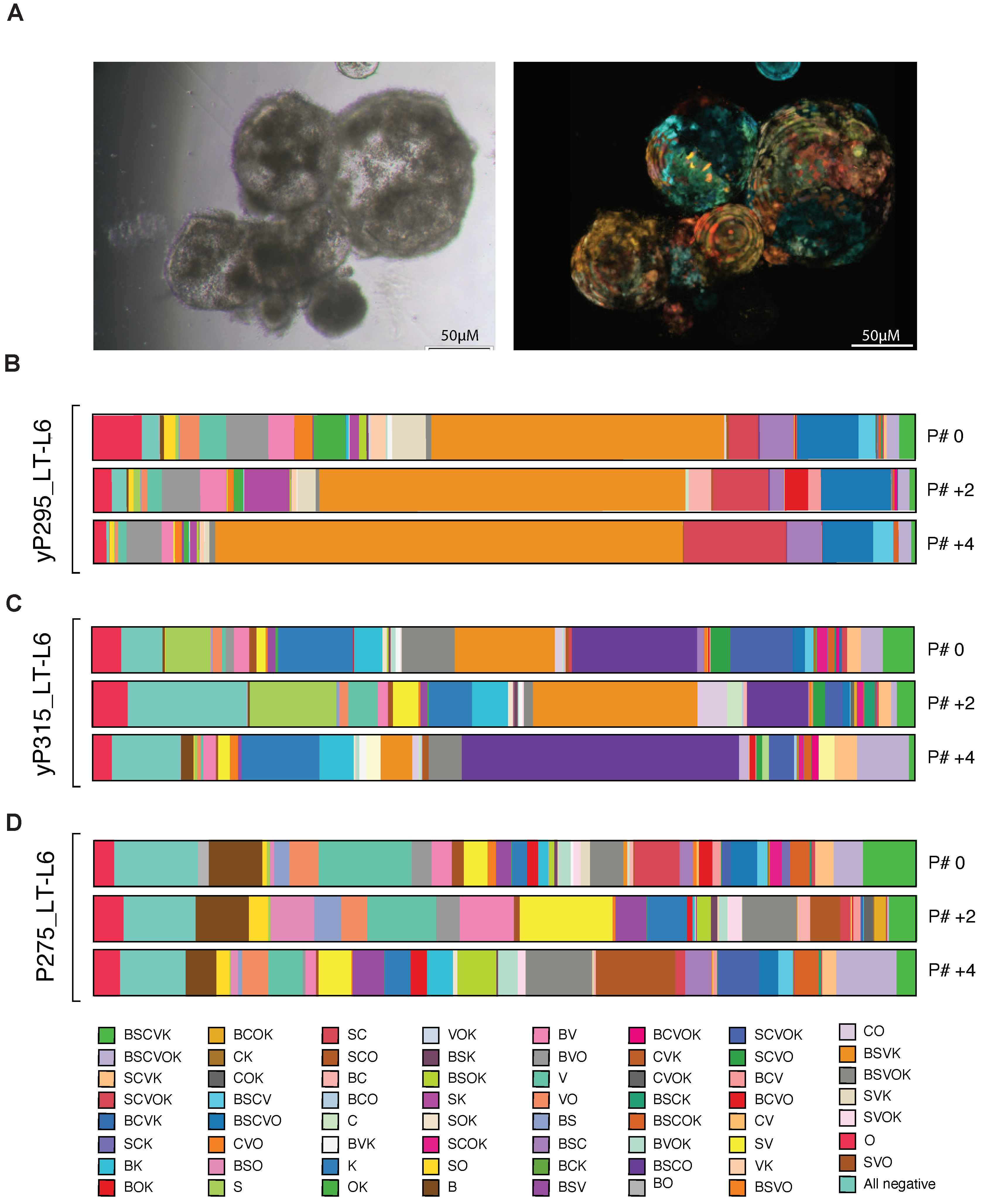 Cancers 14 00581 g005