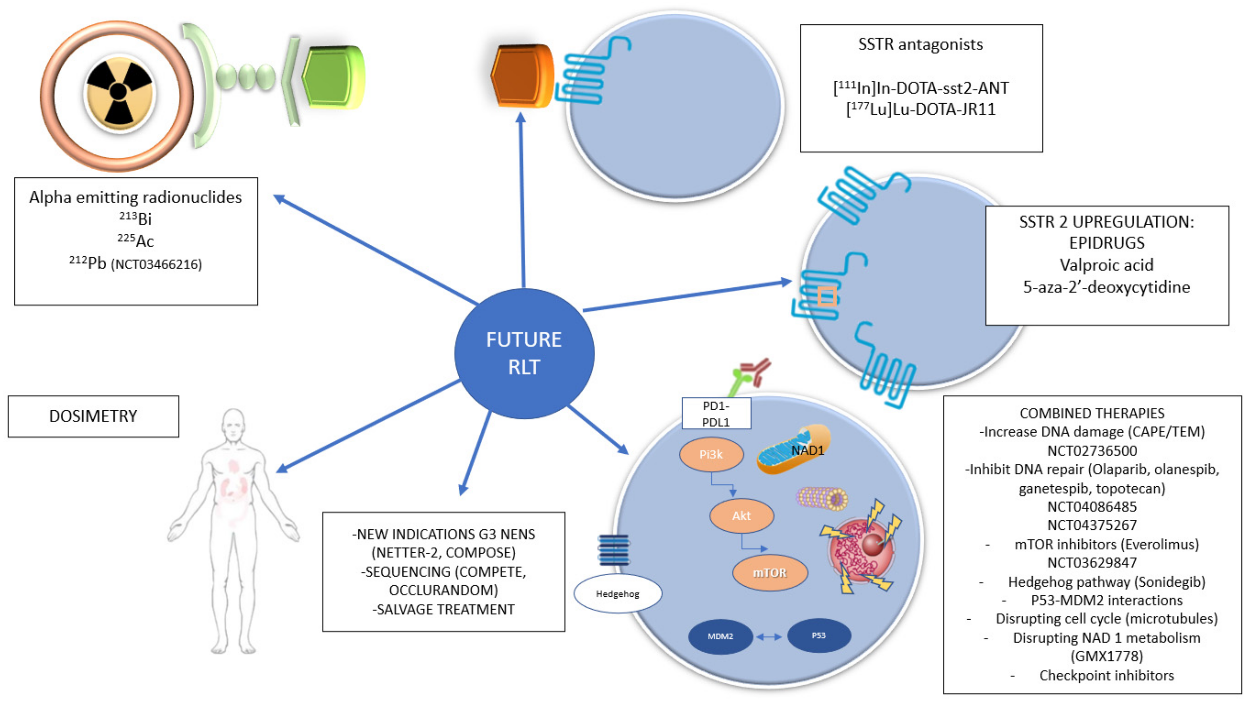 Cancers 14 00584 g003