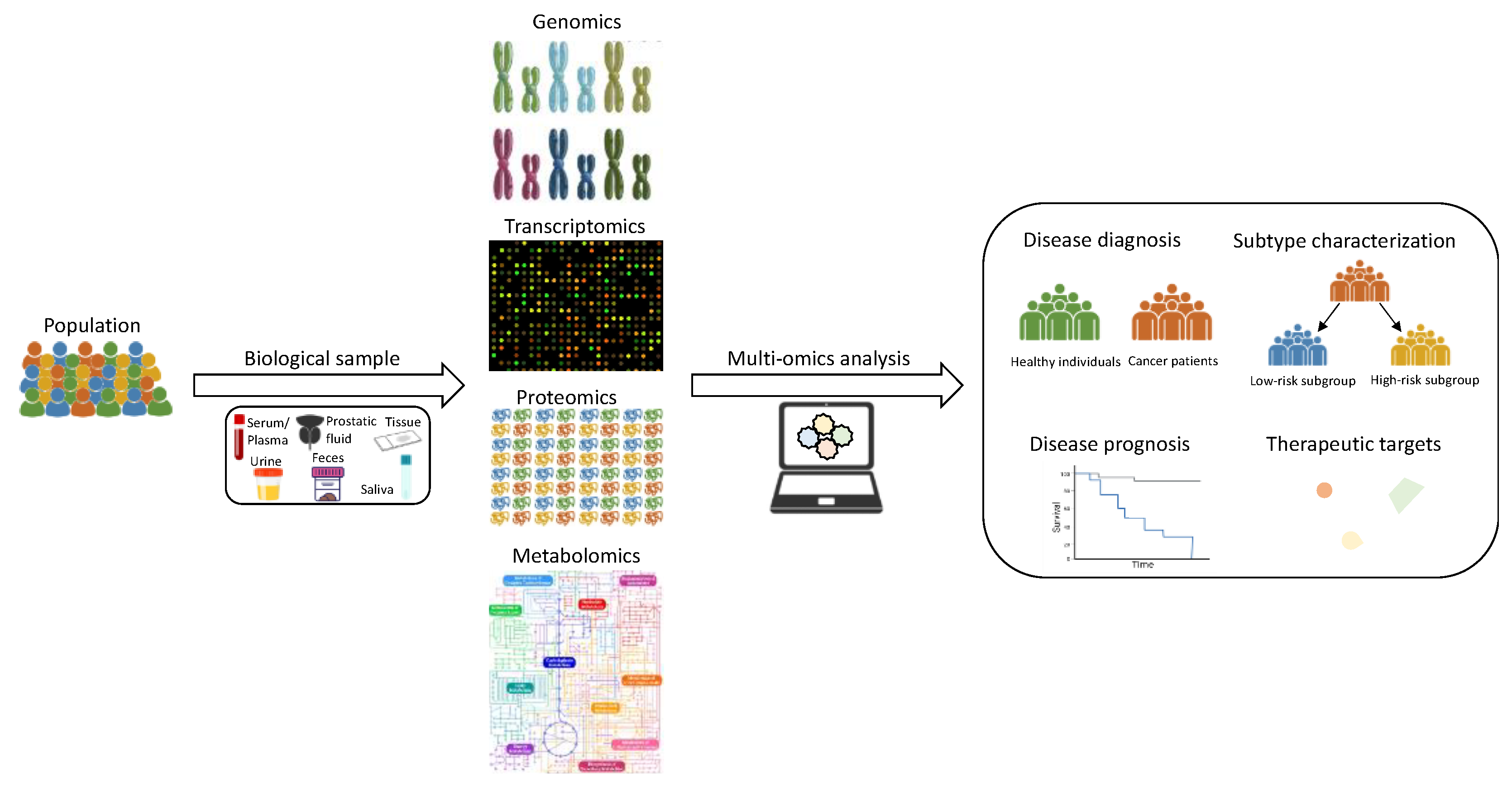 Cancers 14 00596 g001