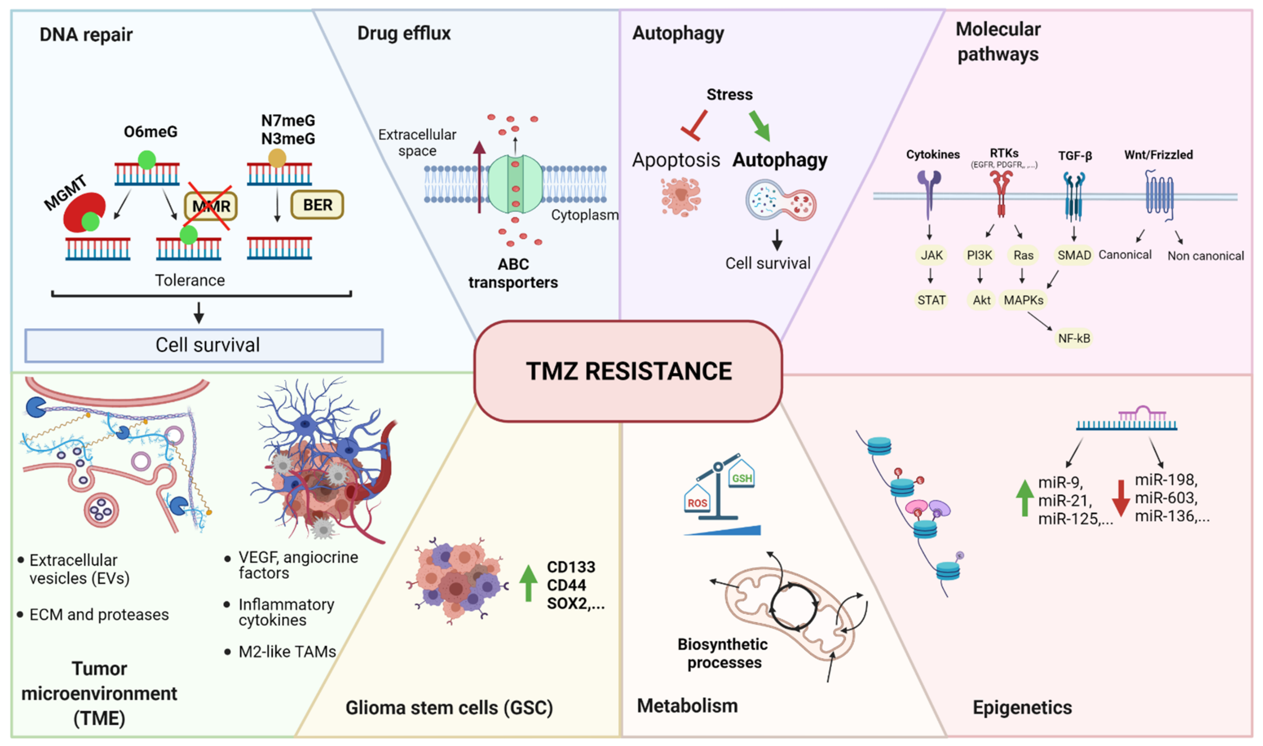 Cancers 14 00600 g001 Cancers 14 00600 g001