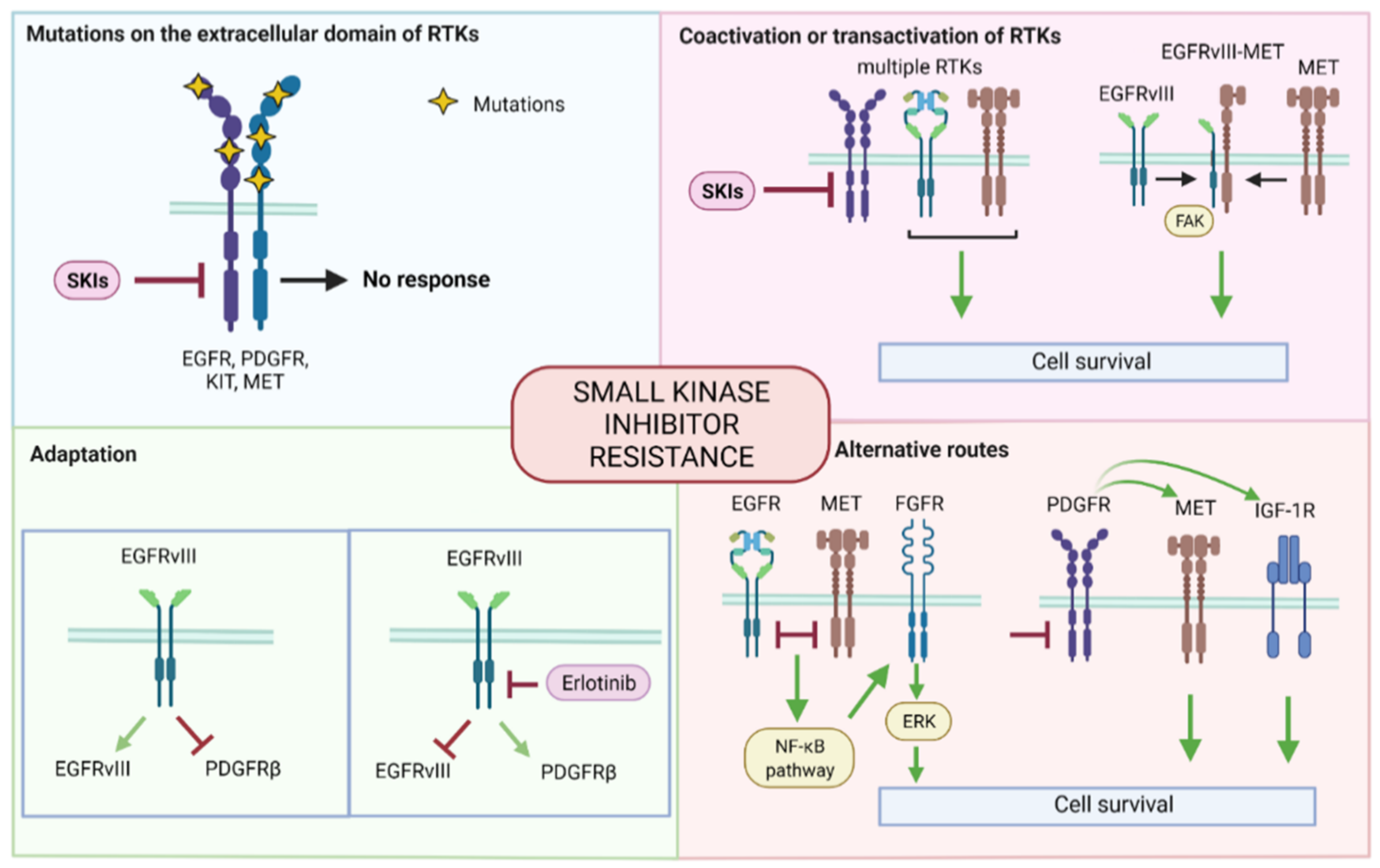 Cancers 14 00600 g002 Cancers 14 00600 g002