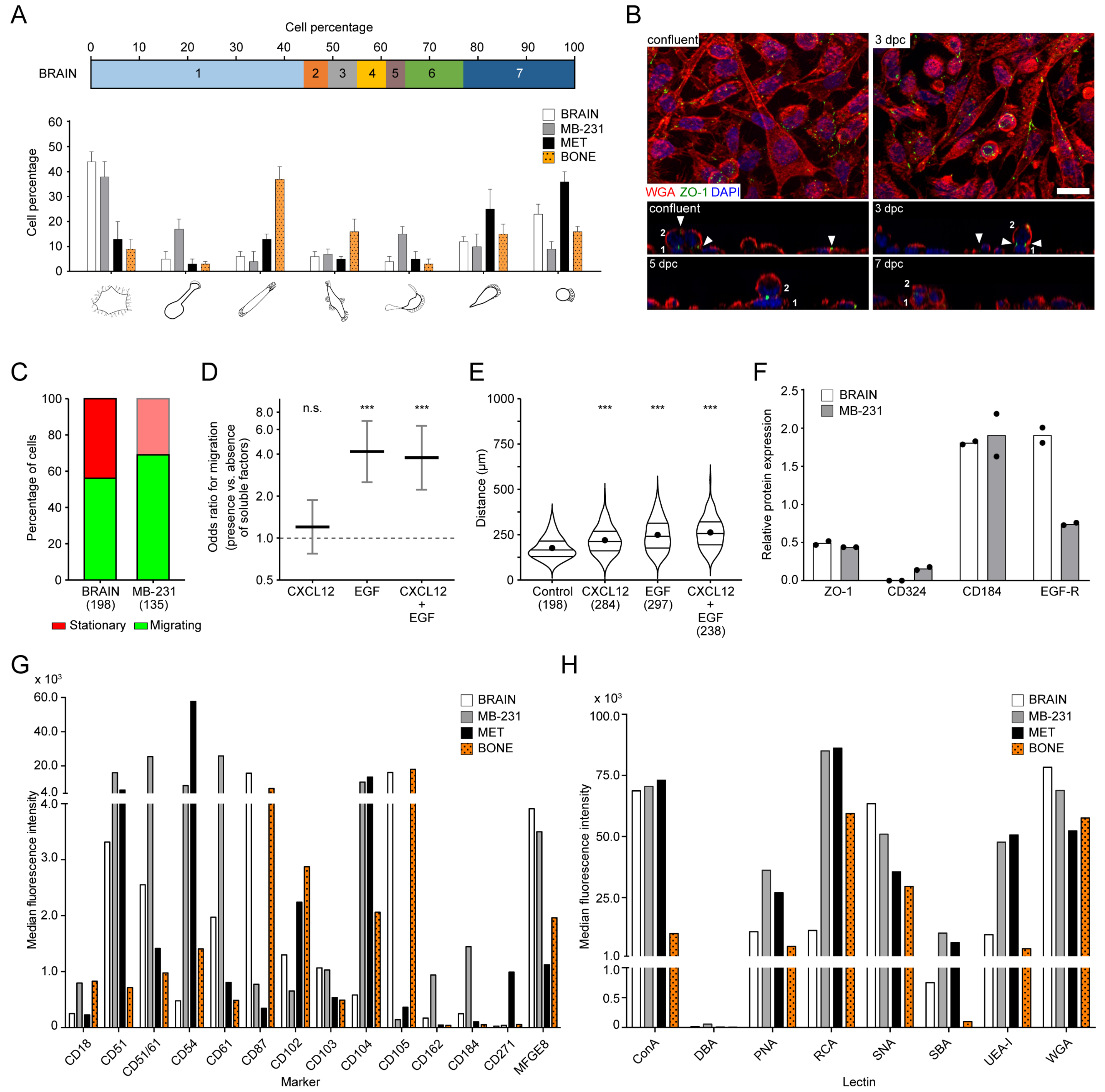 Cancers 14 00603 g007