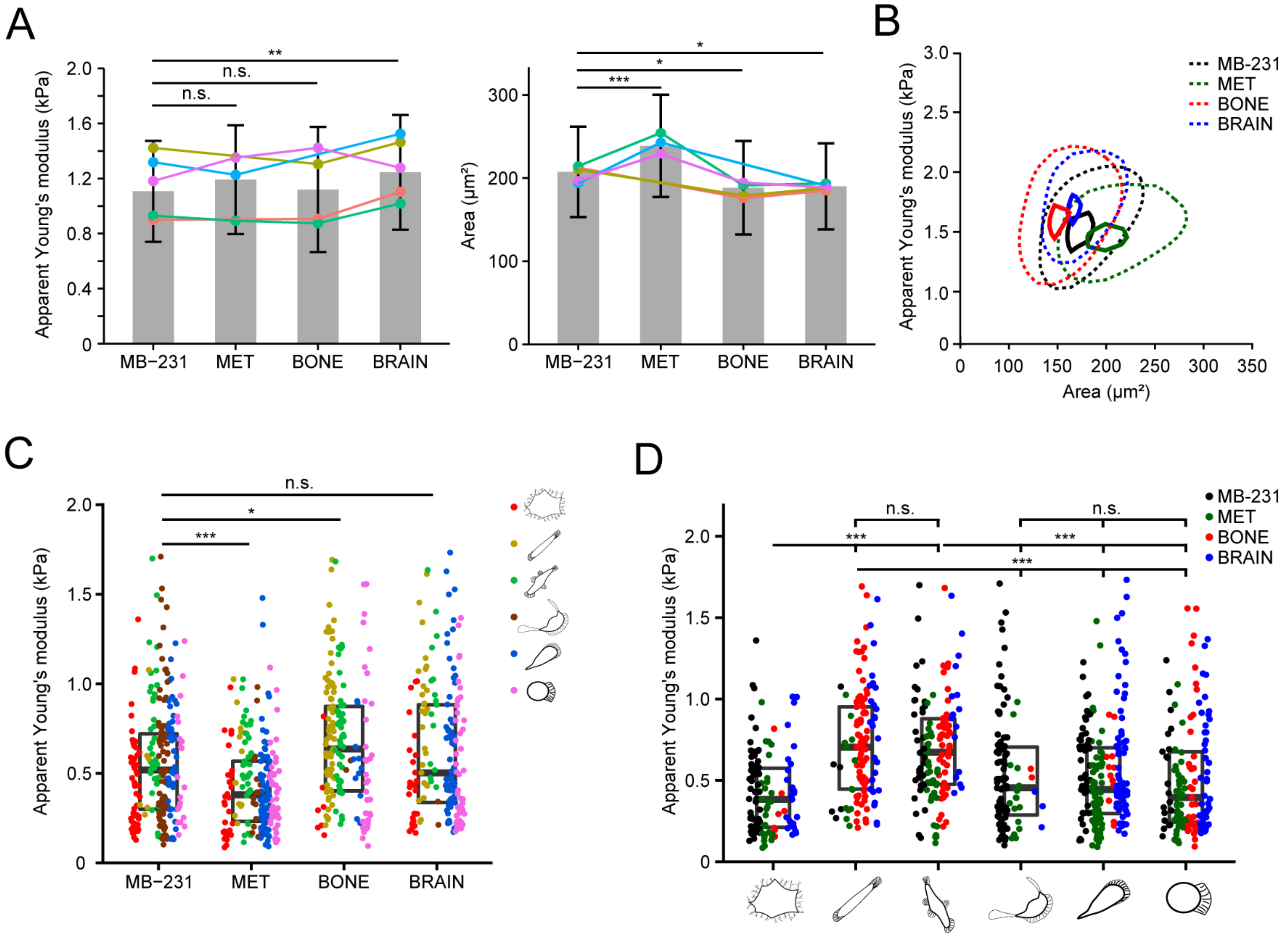 Cancers 14 00603 g008